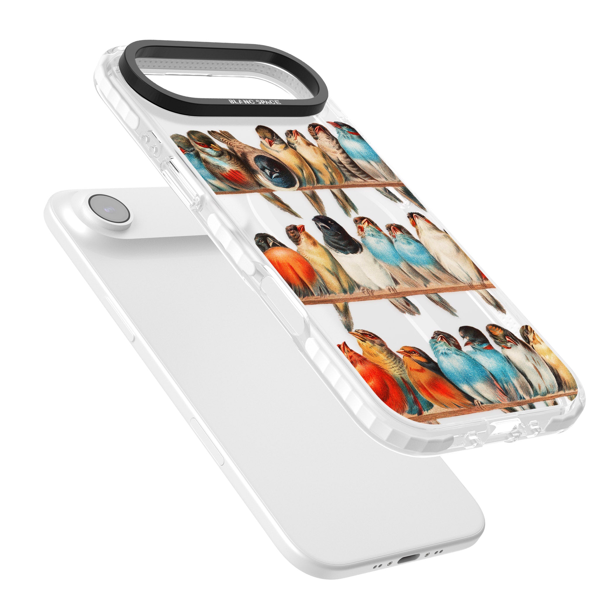 A Perch Of Birds iPhone 17 Air Impact Pro Clear Phone Case Colours