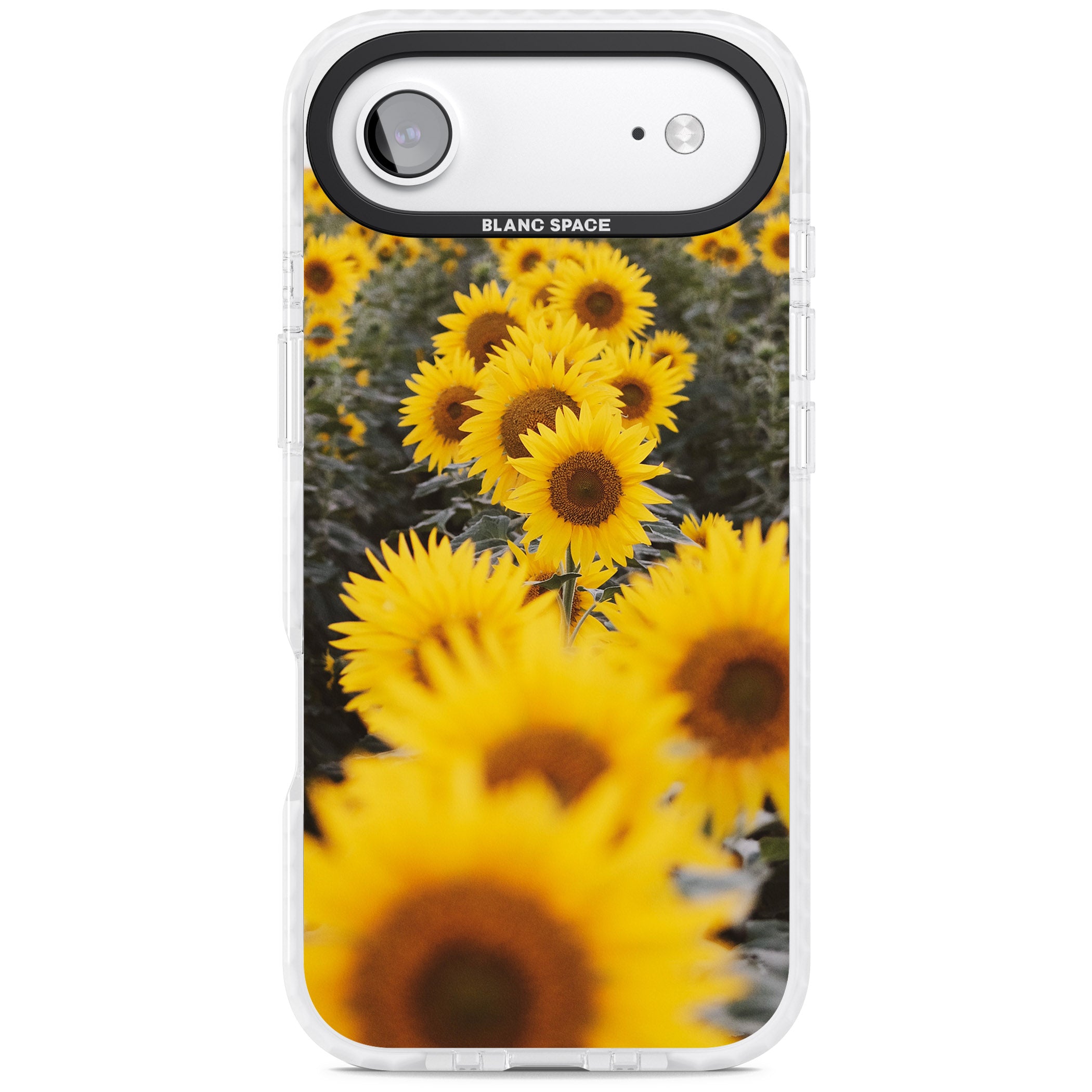 Sunflower Field iPhone 17 Air Impact Clear Phone Case