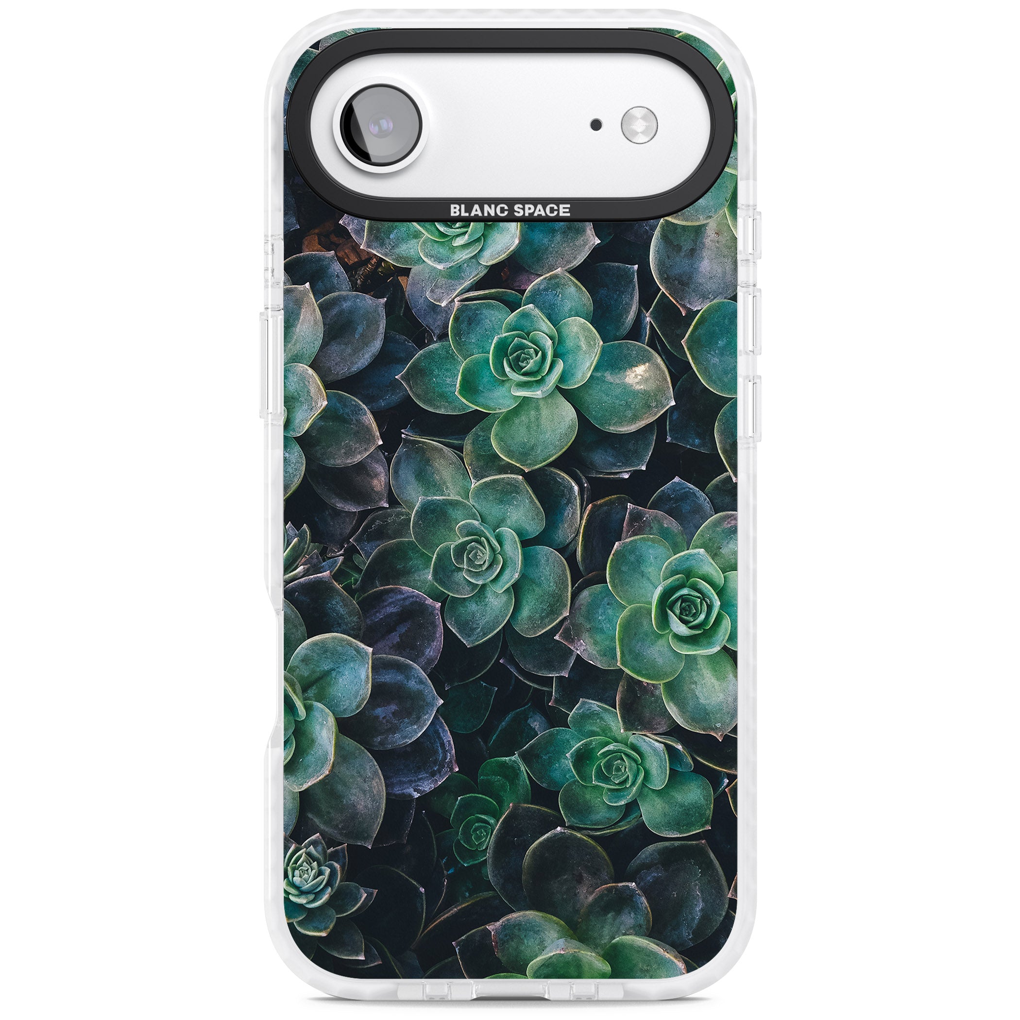 Succulent Bloom Botanical iPhone 17 Air Impact Clear Phone Case