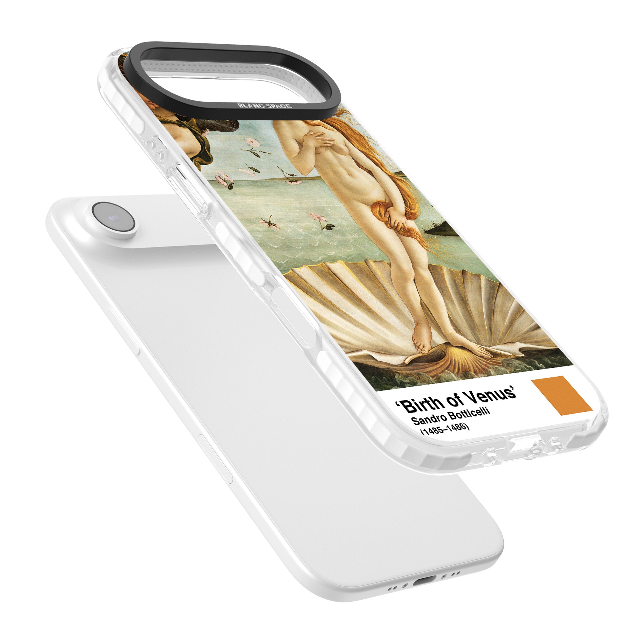 The Birth Of Venus iPhone 17 Air Impact Clear Phone Case Colours