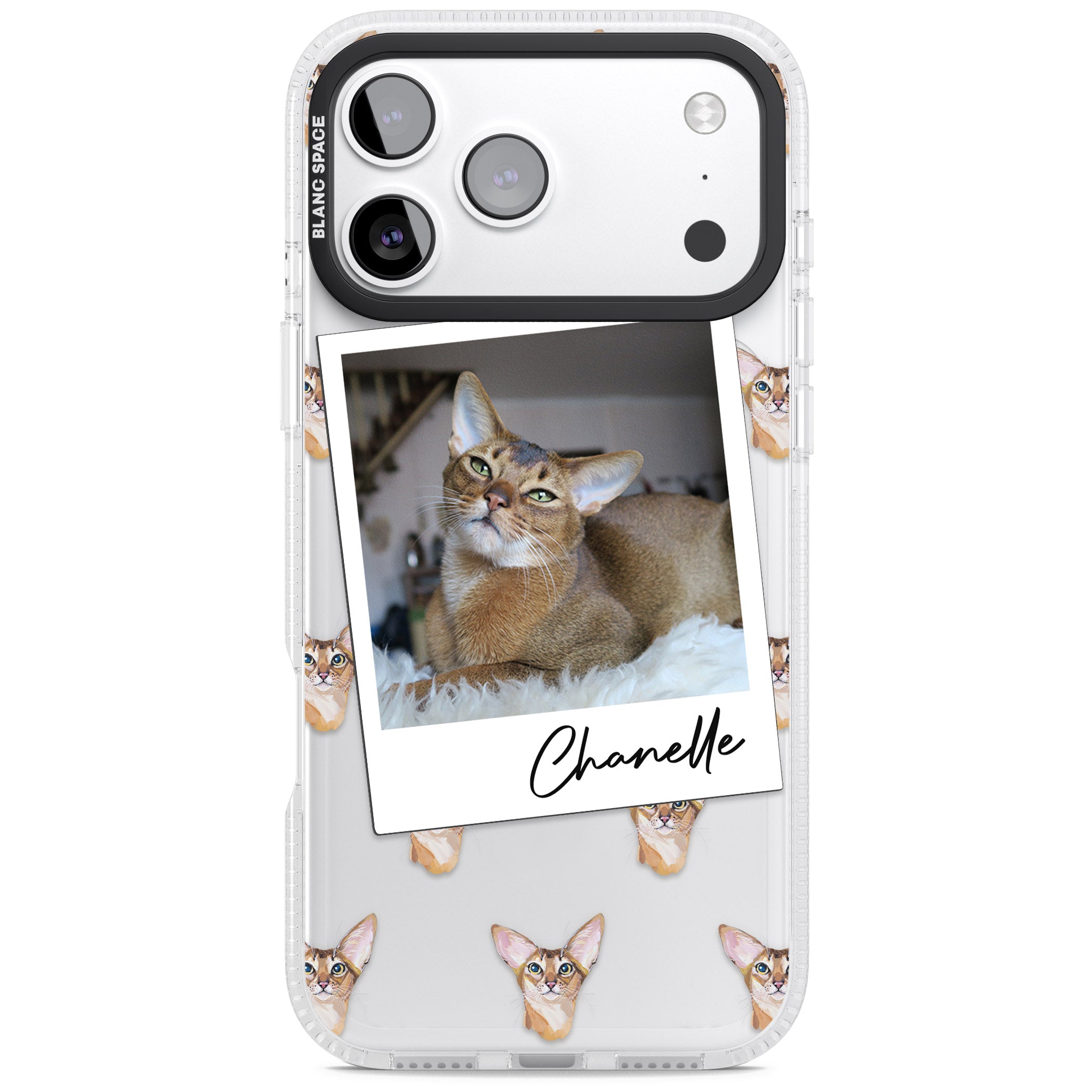 Personalised Abyssinian Cat Photo iPhone 17 Pro Impact Air Clear Phone Case