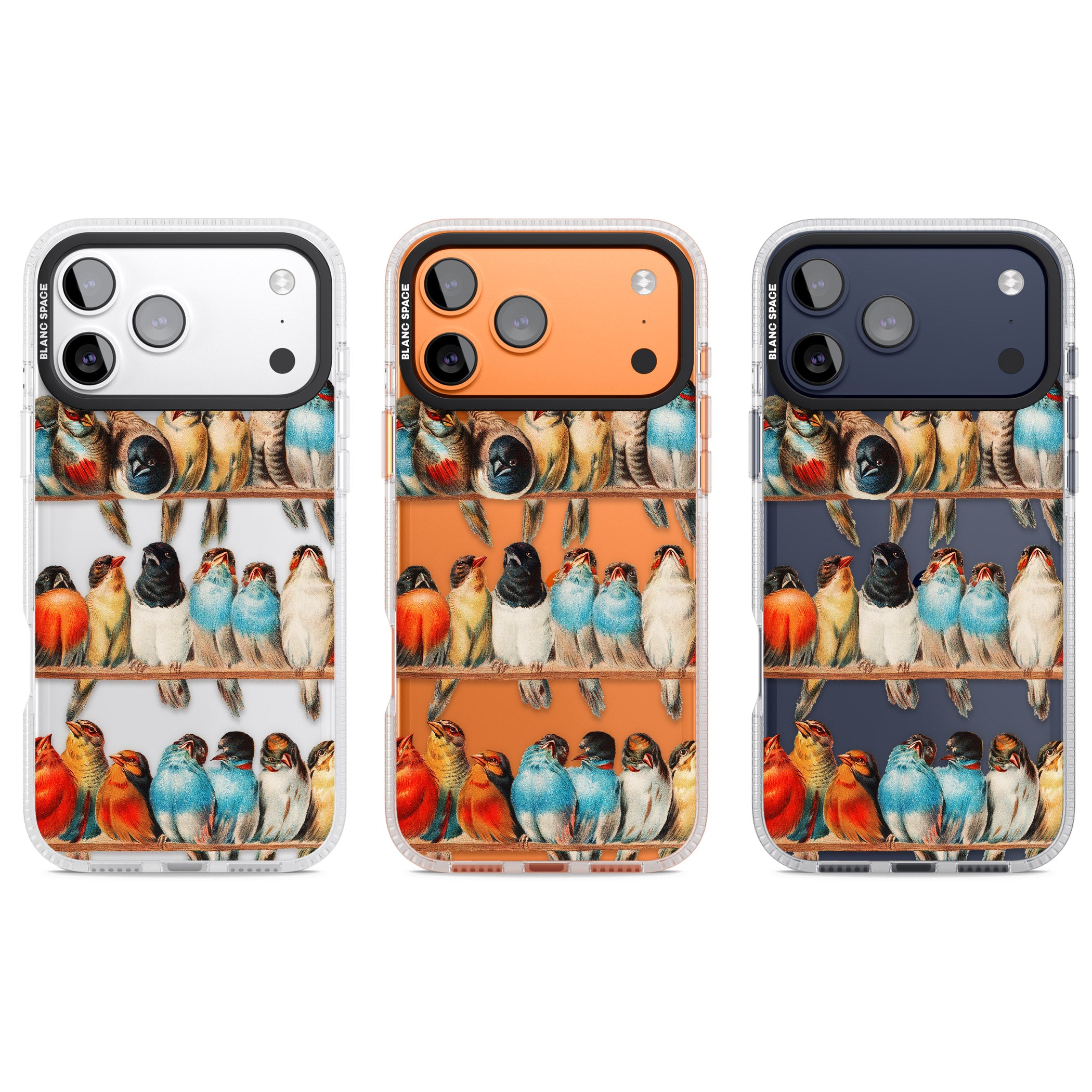 A Perch Of Birds iPhone 17 Pro Impact Air Clear Phone Case APT Impact Protection
