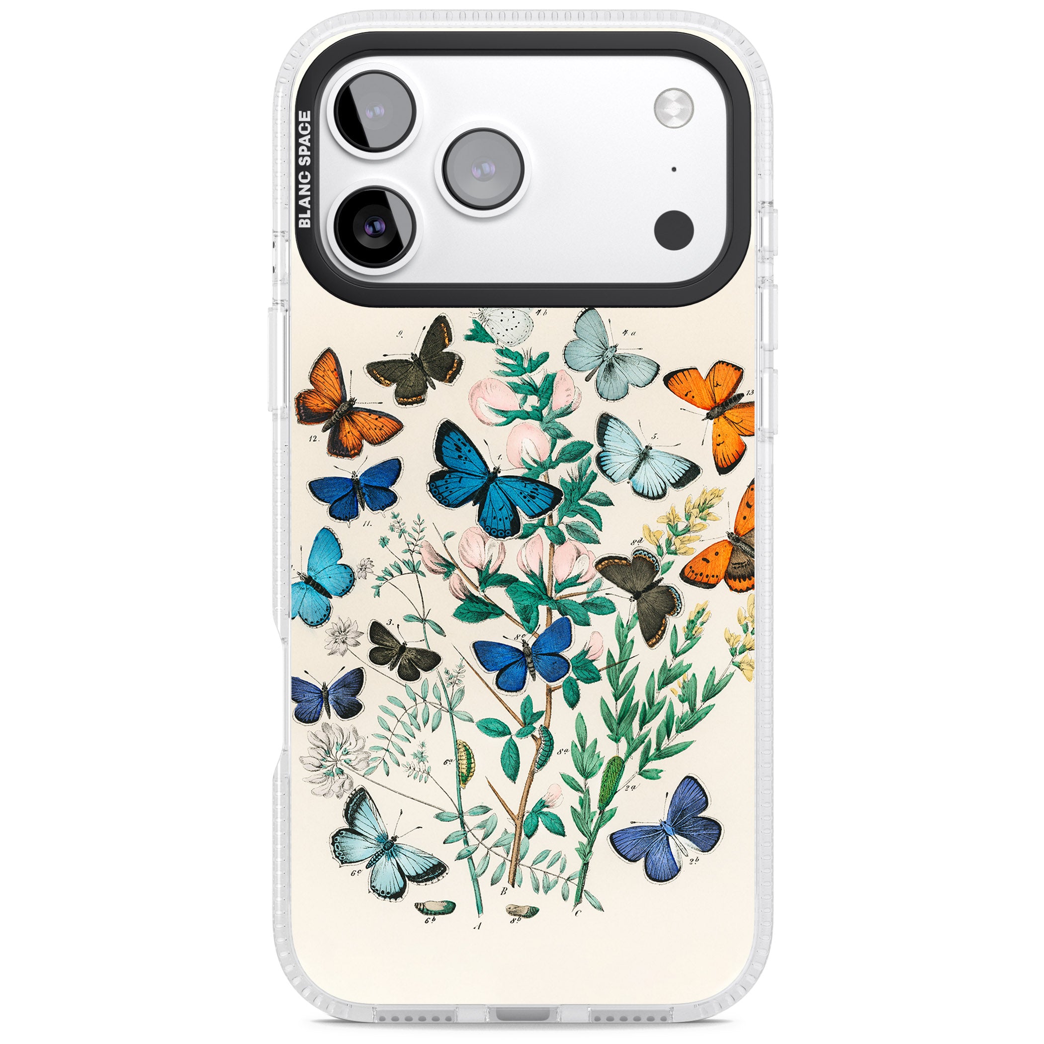 European Butterflies iPhone 17 Pro Impact Air Clear Phone Case
