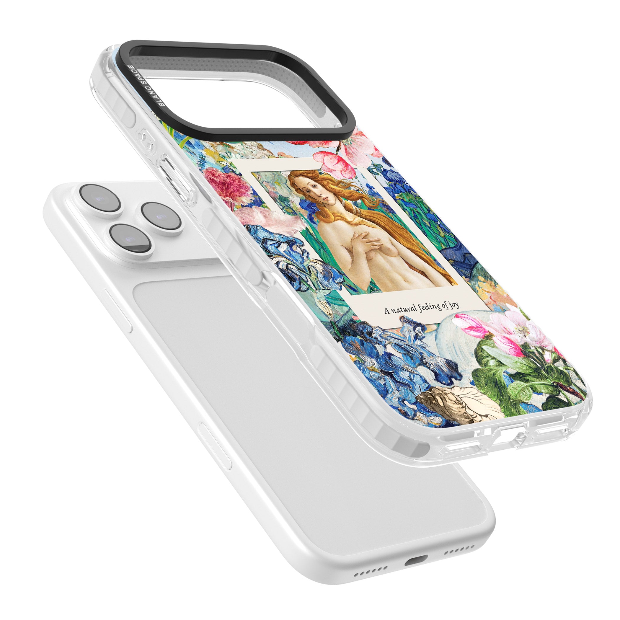 Botticelli Venus iPhone 17 Pro Impact Clear Phone Case Colours