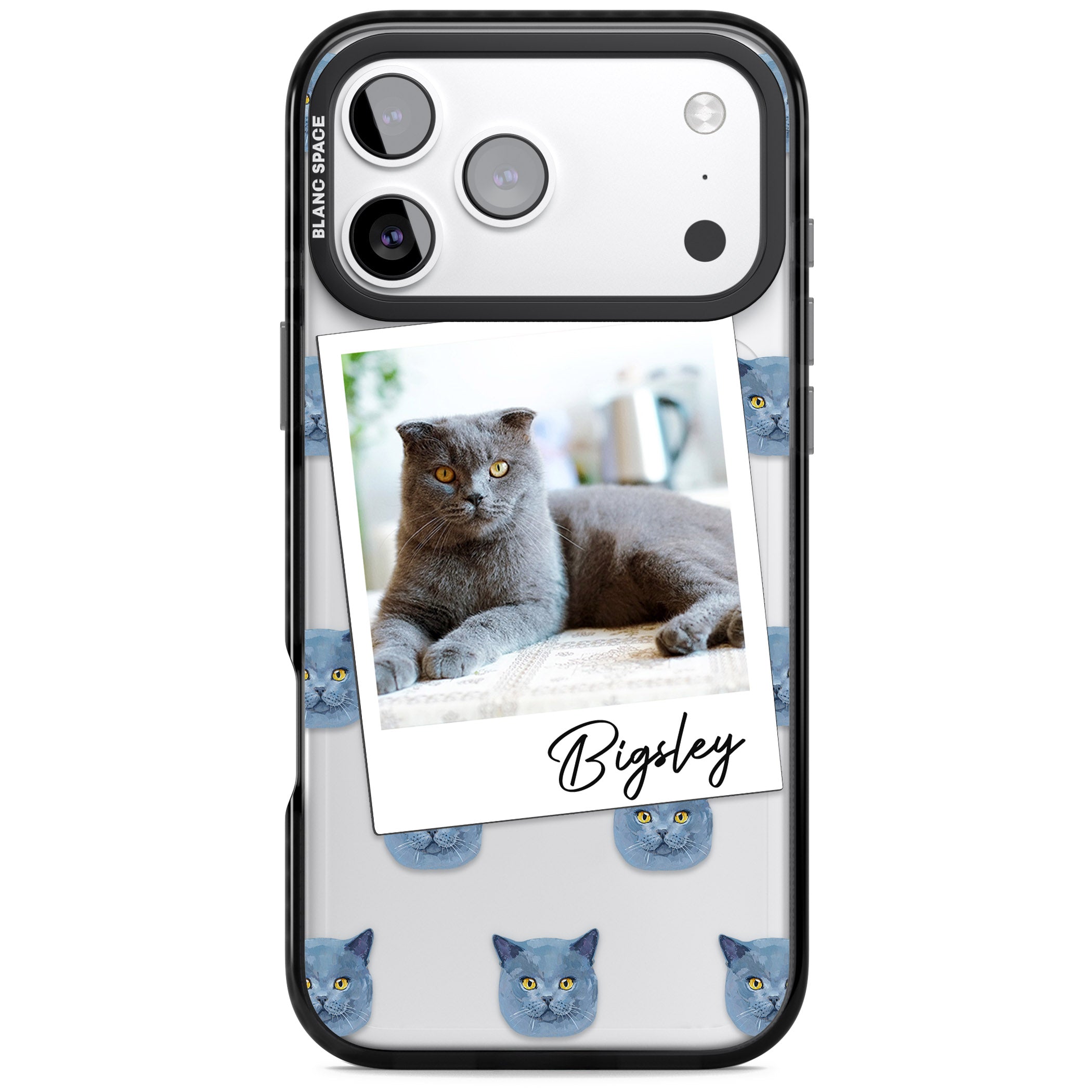 Personalised English Blue Cat Photo iPhone 17 Pro Impact Black Phone Case