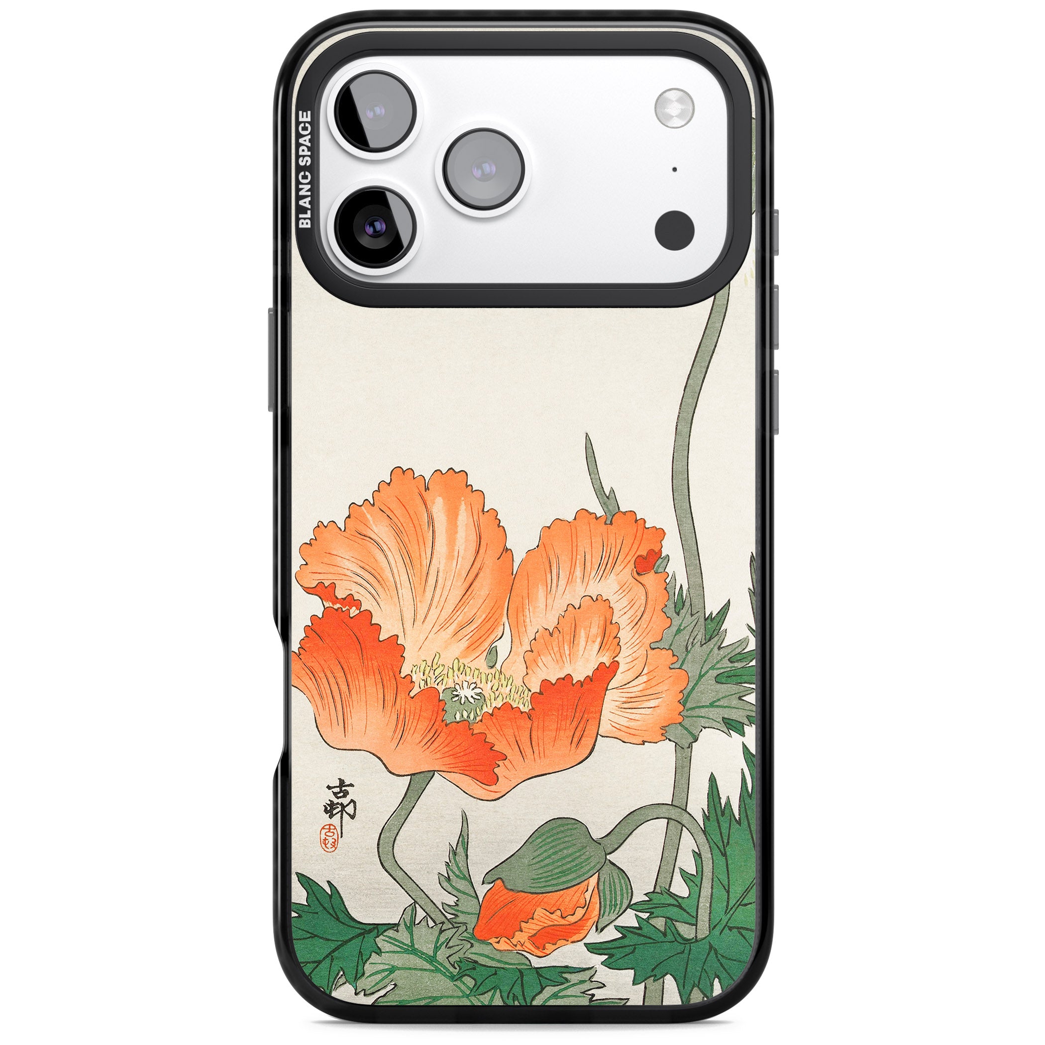 Birds And Plants By Ohara Koson iPhone 17 Pro Impact Black Phone Case