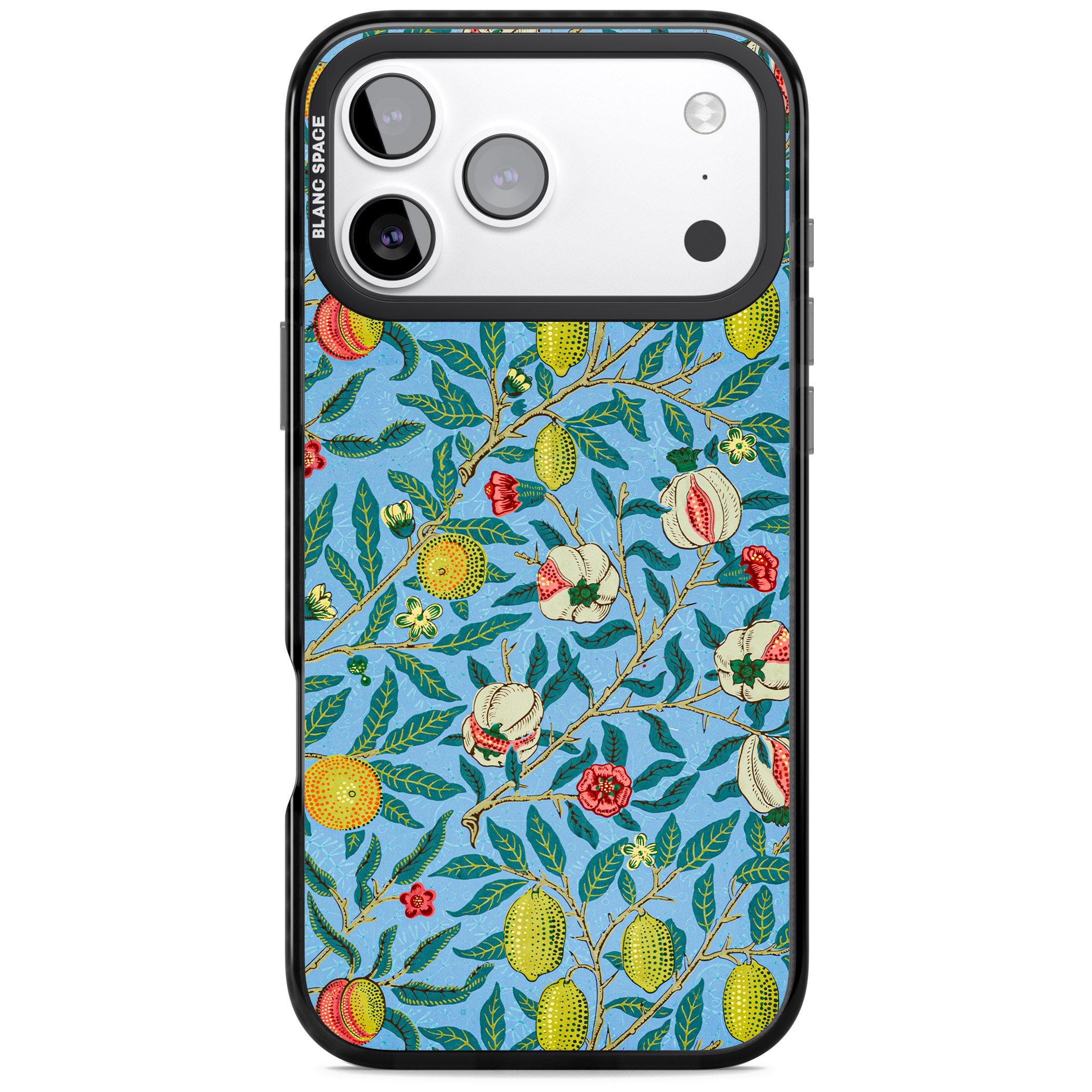 Vintage Fruits iPhone 17 Pro Impact Pro Black Phone Case