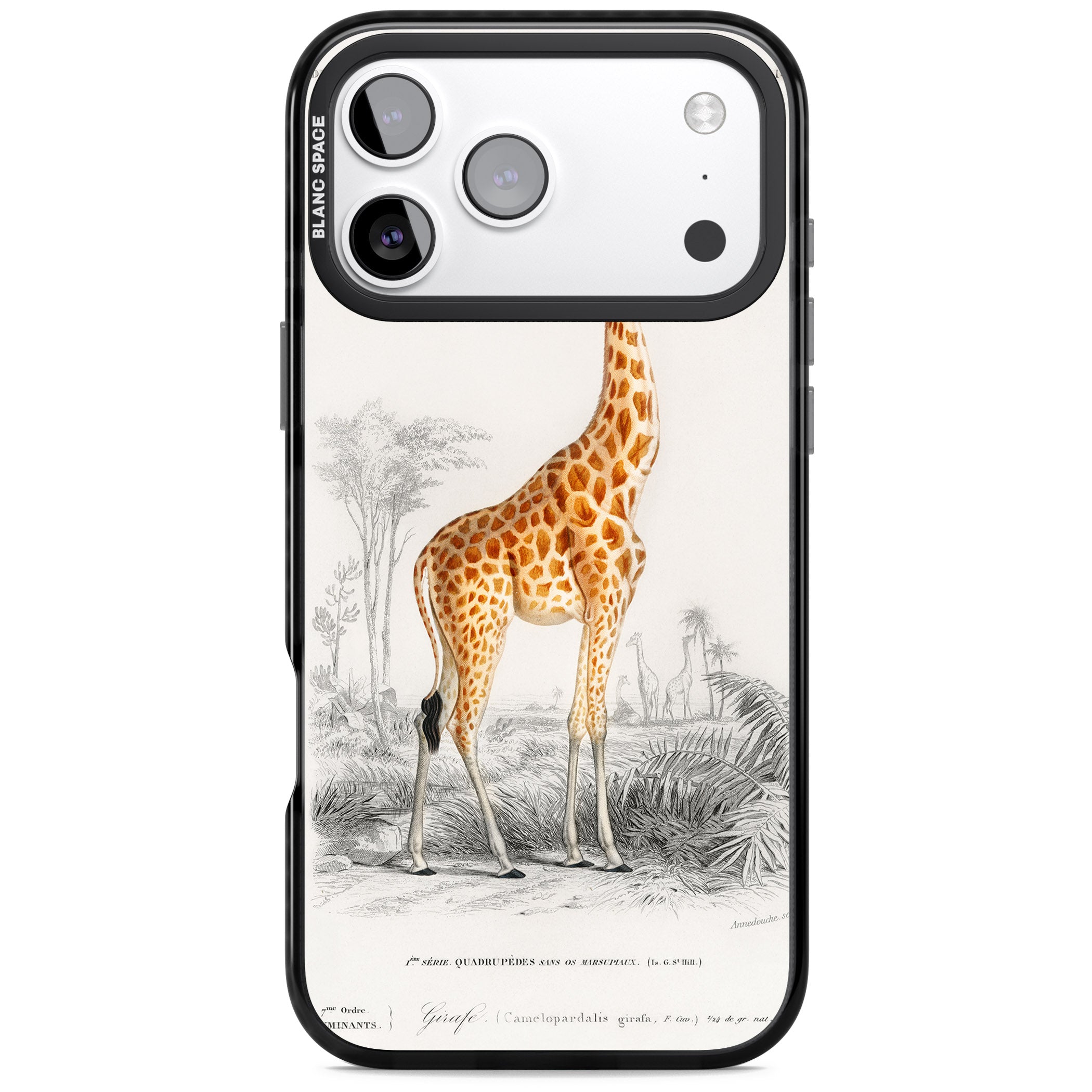Vintage Giraffe Art iPhone 17 Pro Impact Pro Black Phone Case