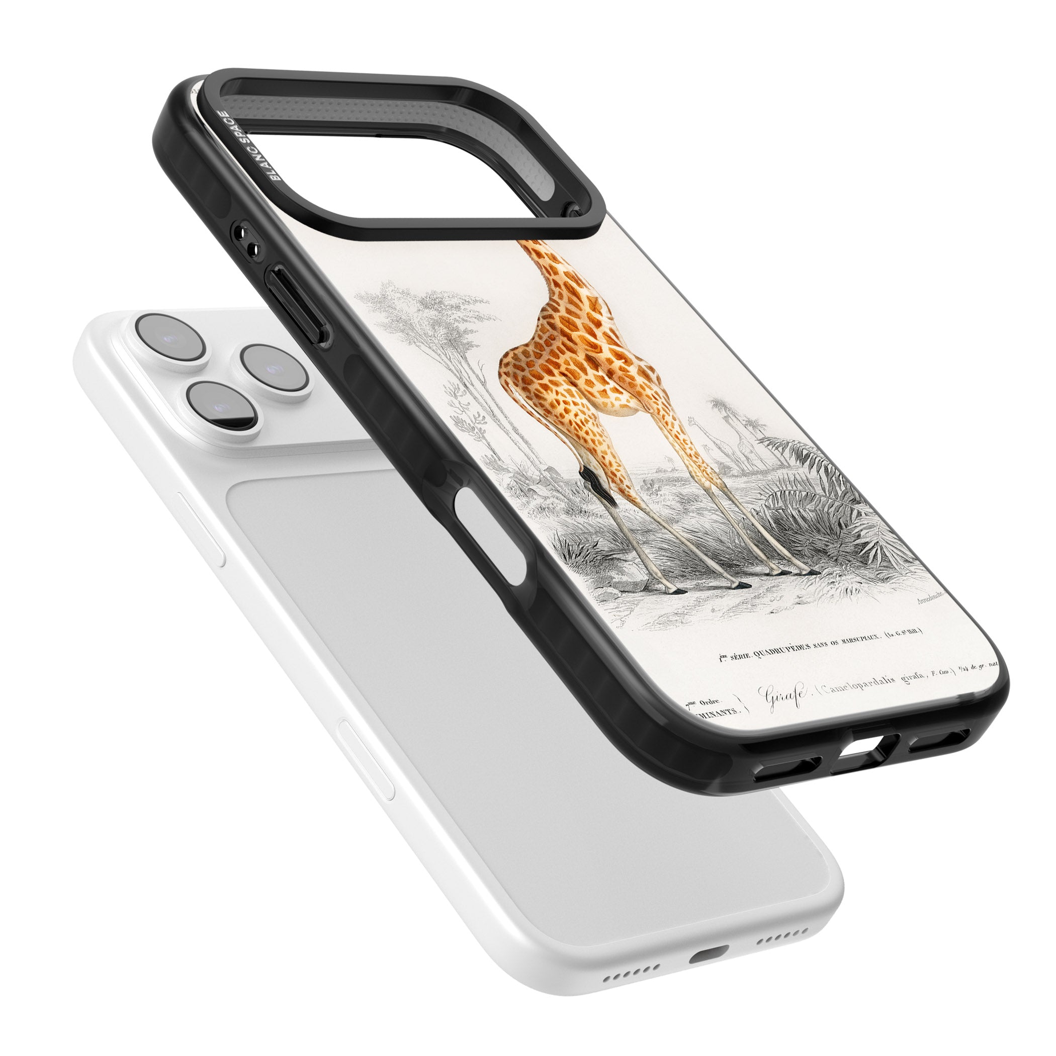 Vintage Giraffe Art iPhone 17 Pro Impact Pro Black Phone Case Colours