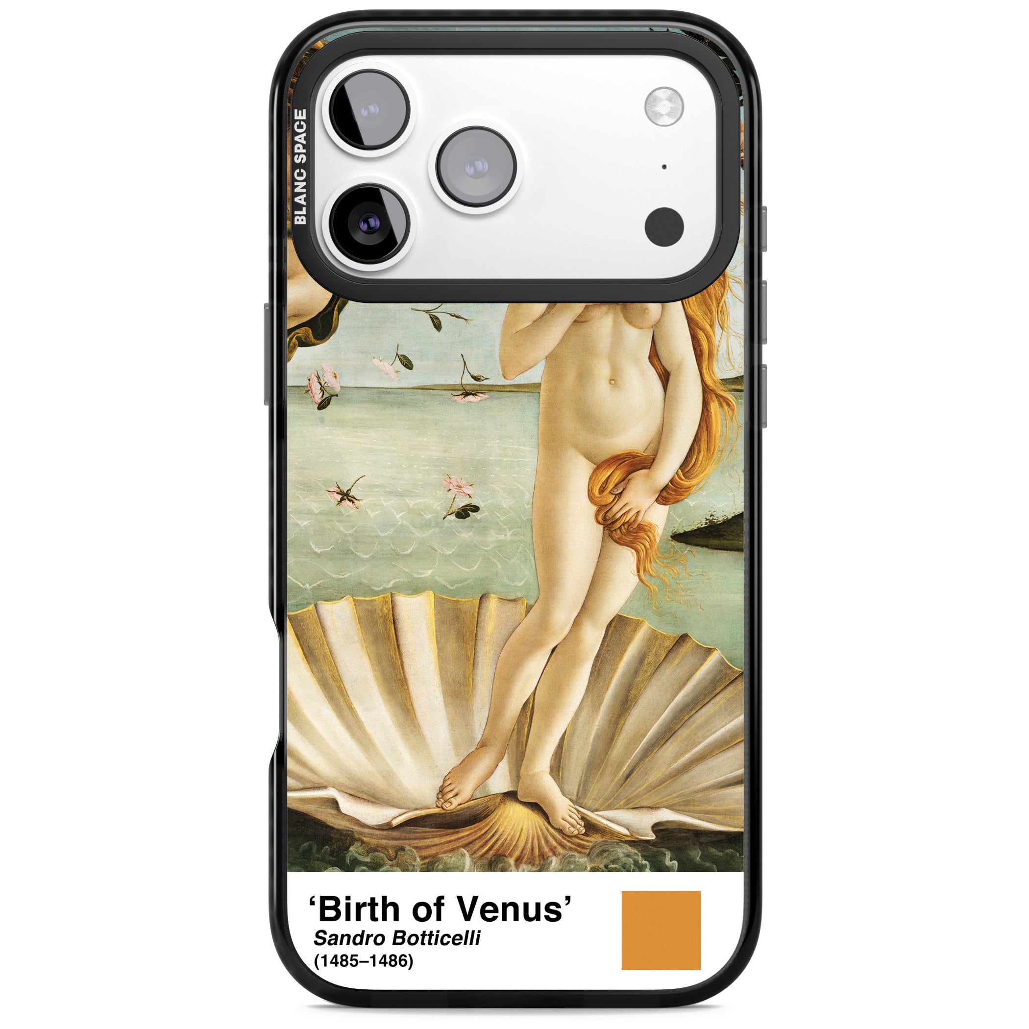 The Birth Of Venus iPhone 17 Pro Impact Black Phone Case