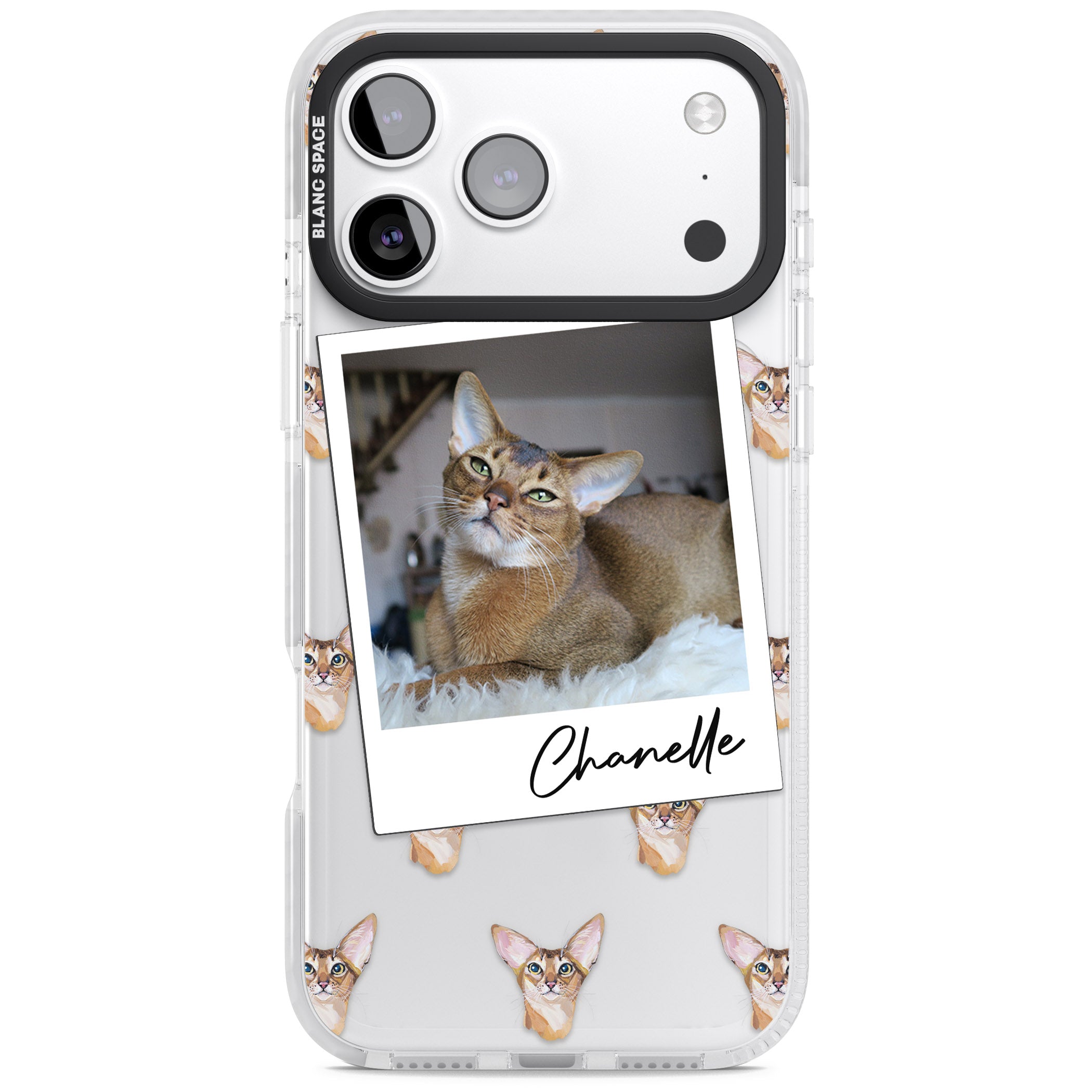 Personalised Abyssinian Cat Photo iPhone 17 Pro Impact Clear Phone Case