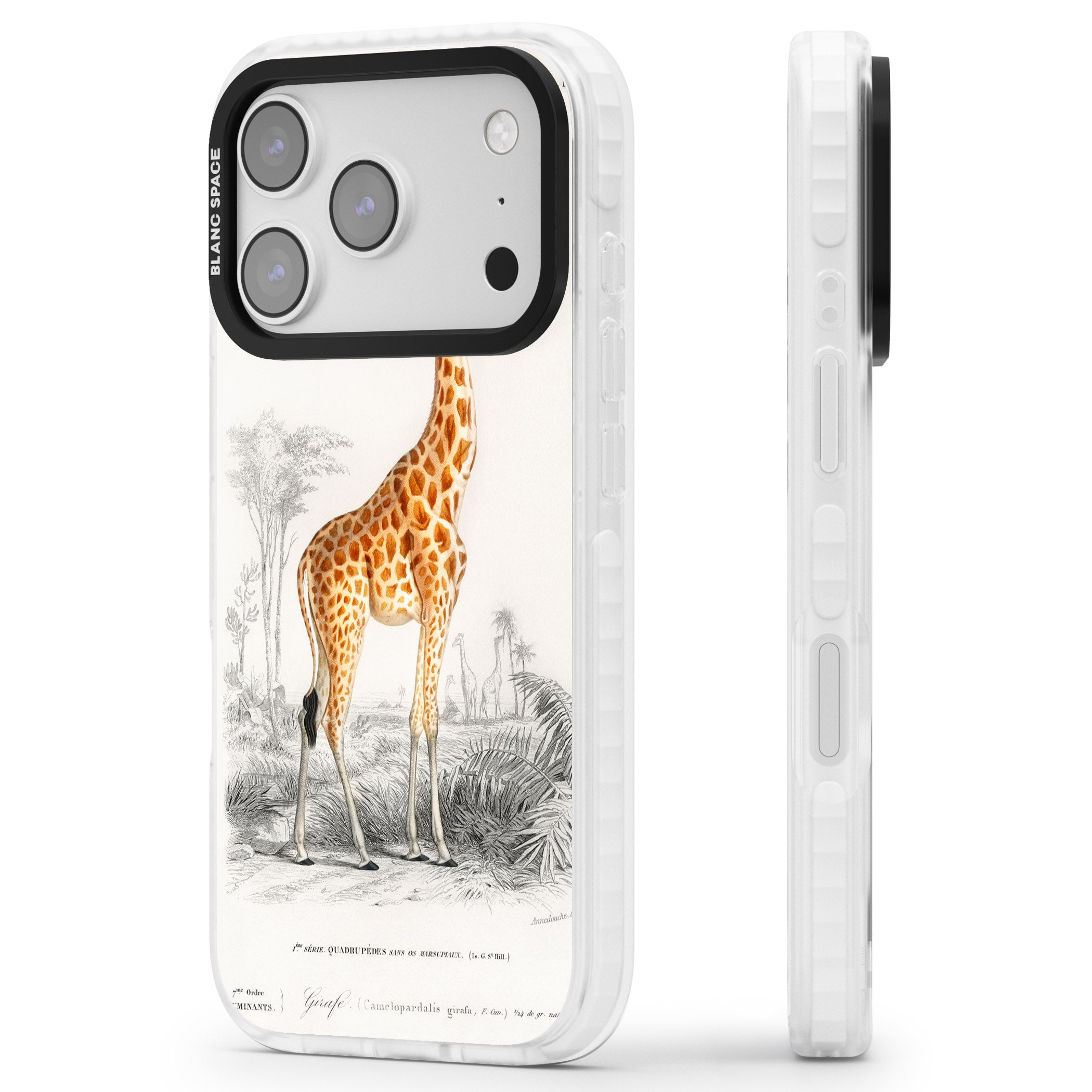 Vintage Giraffe Art iPhone 17 Pro Impact Clear Phone Case Side Profile