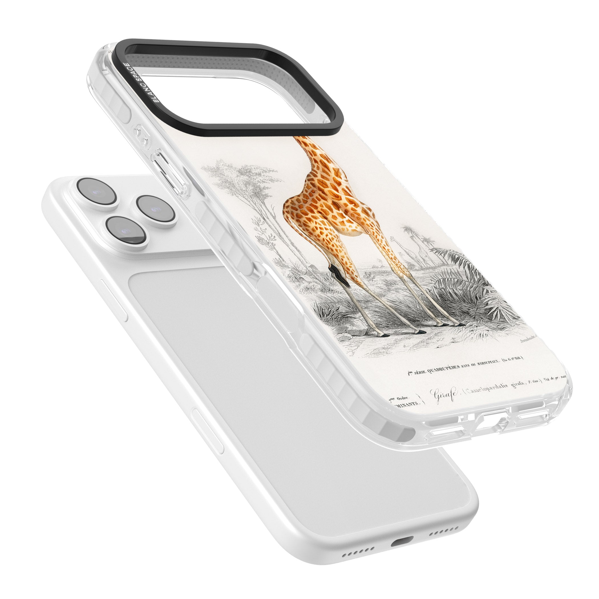 Vintage Giraffe Art iPhone 17 Pro Impact Clear Phone Case Colours