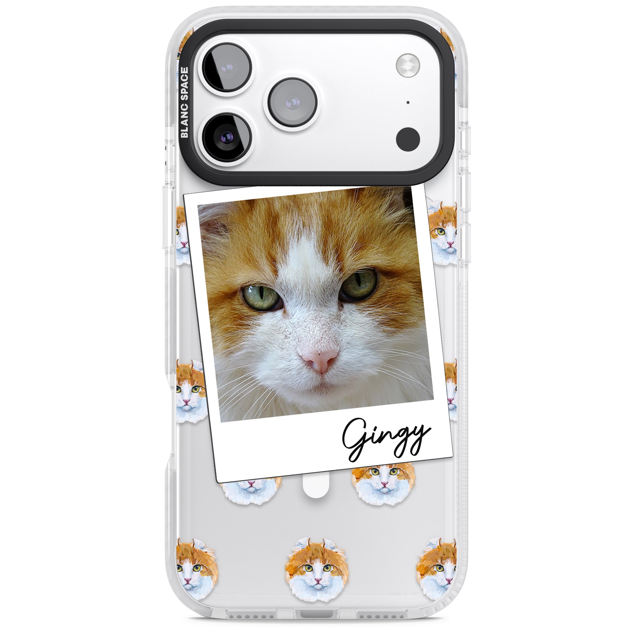 Personalised American Curl Photo iPhone 17 Pro Impact Pro Clear Phone Case