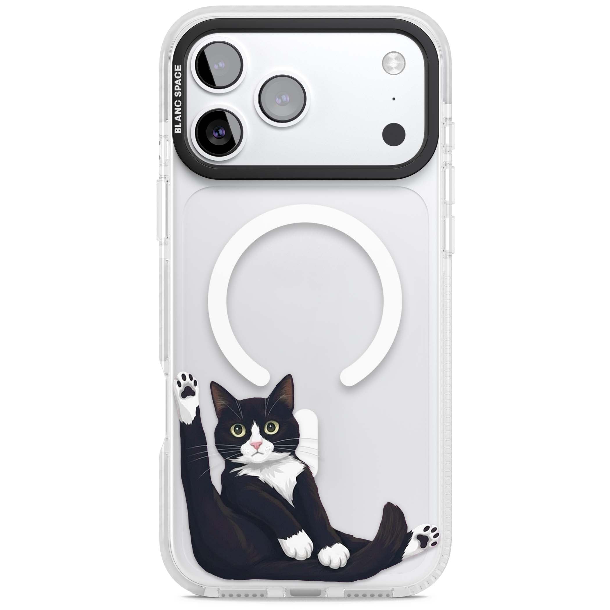 Mid-Groom Cat animals iPhone case | Impact Magsafe case for iPhone 17 Pro, iPhone 17 Pro Max