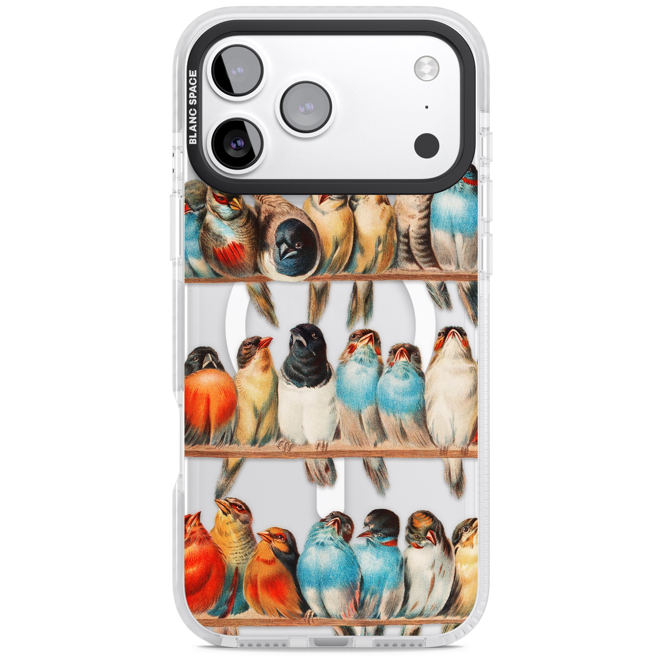 A Perch Of Birds iPhone 17 Pro Impact Pro Clear Phone Case