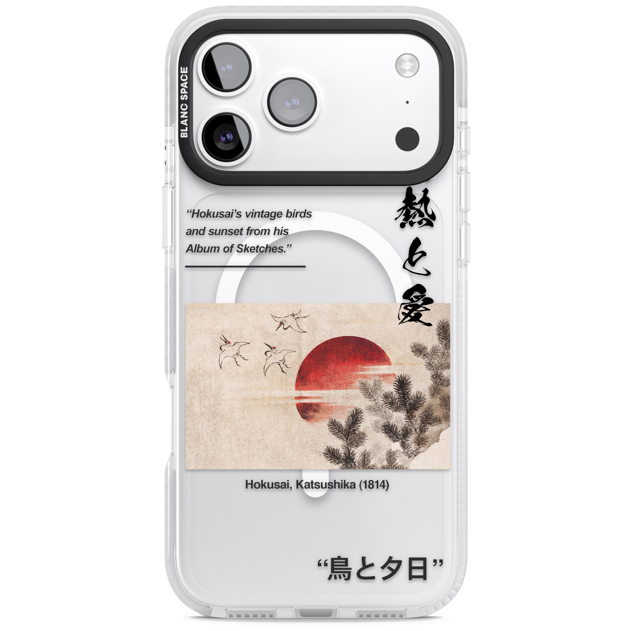 Birds And Sunset iPhone 17 Pro Impact Pro Clear Phone Case