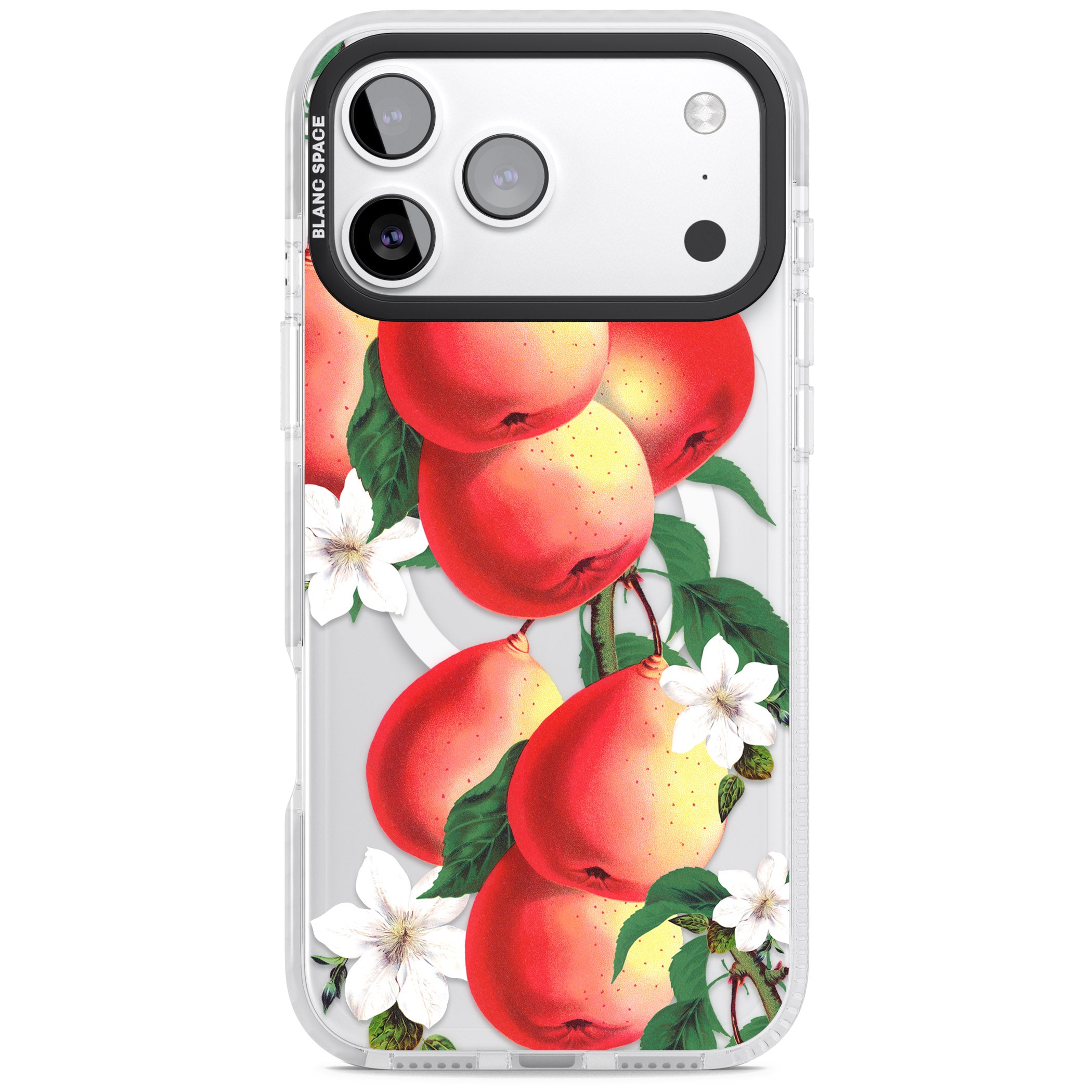 Vintage Painted Peaches iPhone 17 Pro Impact Pro Clear Phone Case