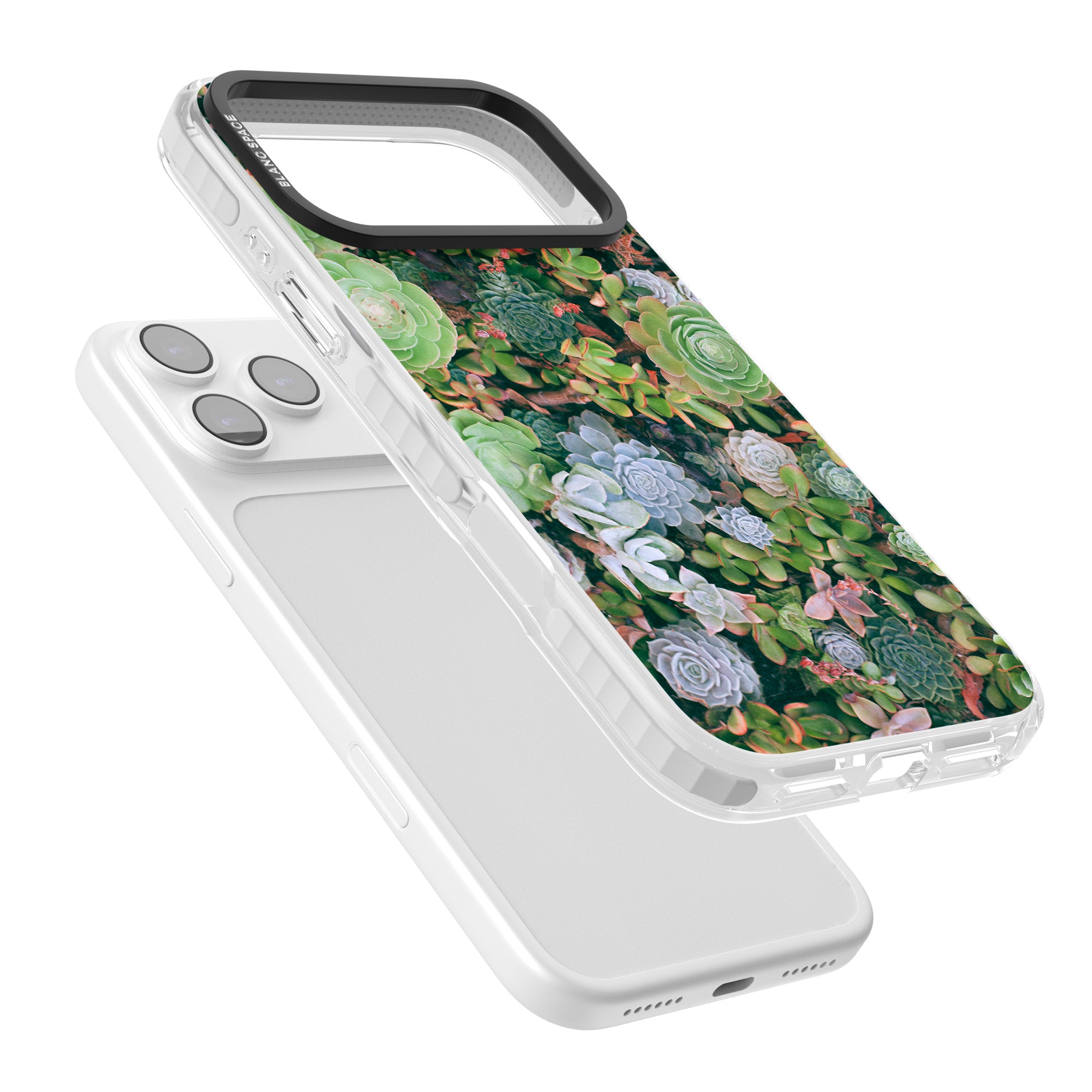 Succulent Garden iPhone 17 Pro Impact Clear Phone Case Colours
