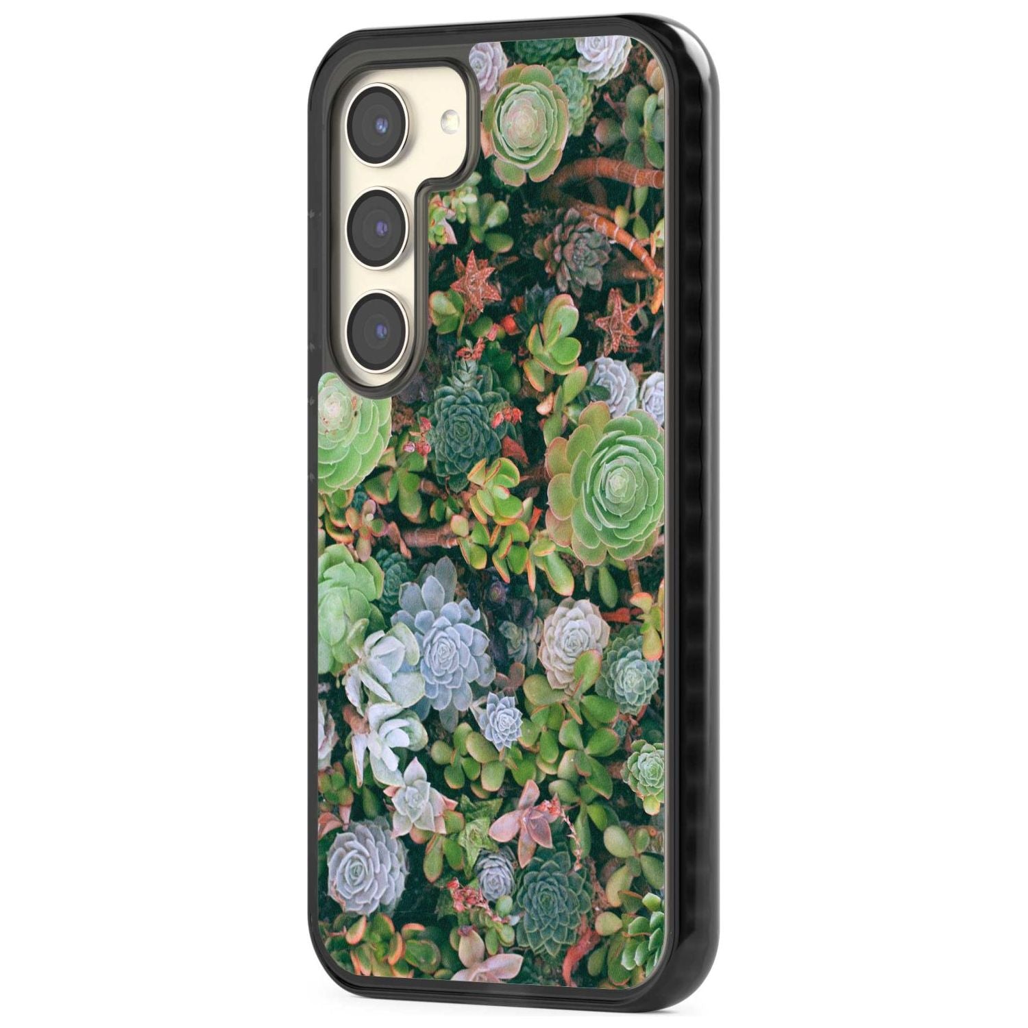 Colourful Succulents Phone Case iPhone 15 Pro Max / Black Impact Case,iPhone 15 Plus / Black Impact Case,iPhone 15 Pro / Black Impact Case,iPhone 15 / Black Impact Case,iPhone 15 Pro Max / Impact Case,iPhone 15 Plus / Impact Case,iPhone 15 Pro / Impact Case,iPhone 15 / Impact Case,iPhone 15 Pro Max / Magsafe Black Impact Case,iPhone 15 Plus / Magsafe Black Impact Case,iPhone 15 Pro / Magsafe Black Impact Case,iPhone 15 / Magsafe Black Impact Case,iPhone 14 Pro Max / Black Impact Case,iPhone 14 Plus / Black