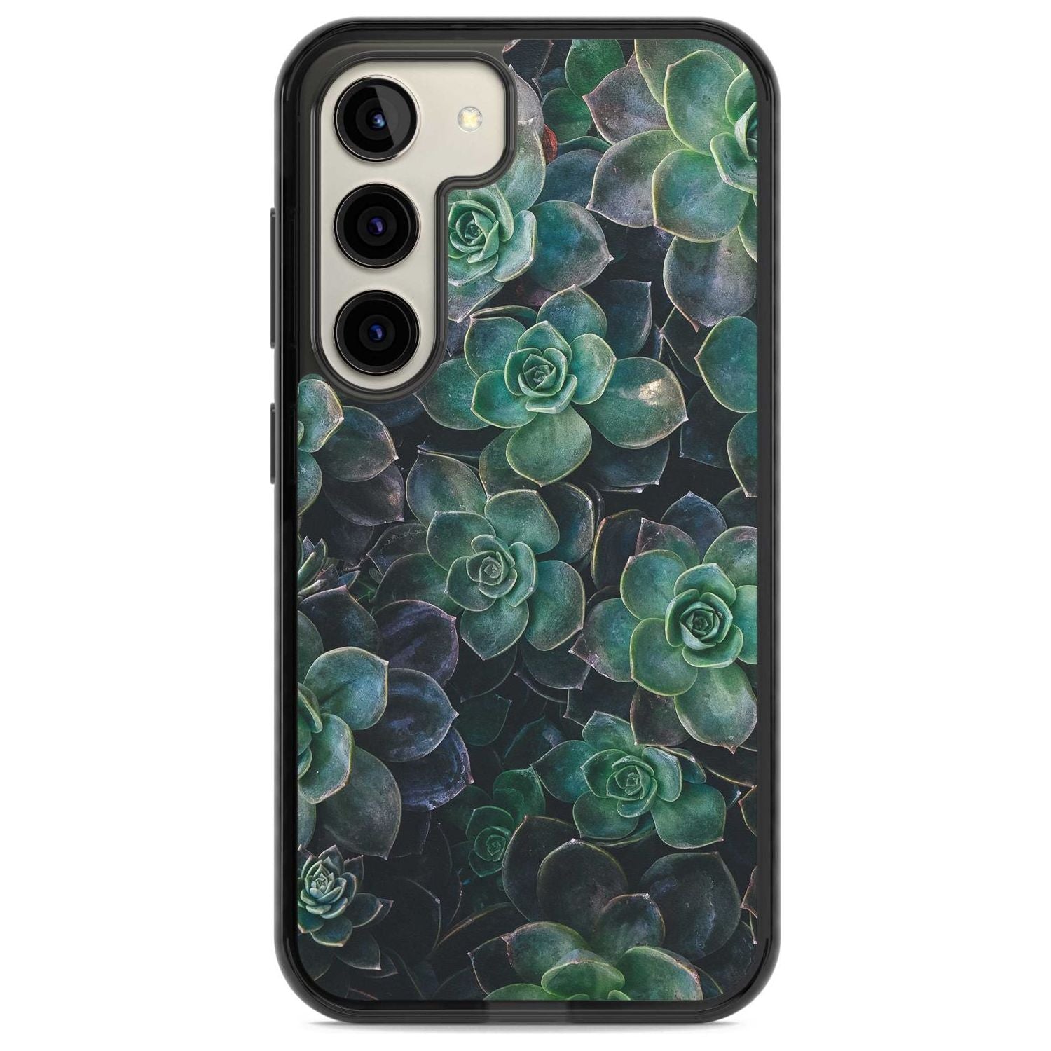 Succulent Bloom Botanical