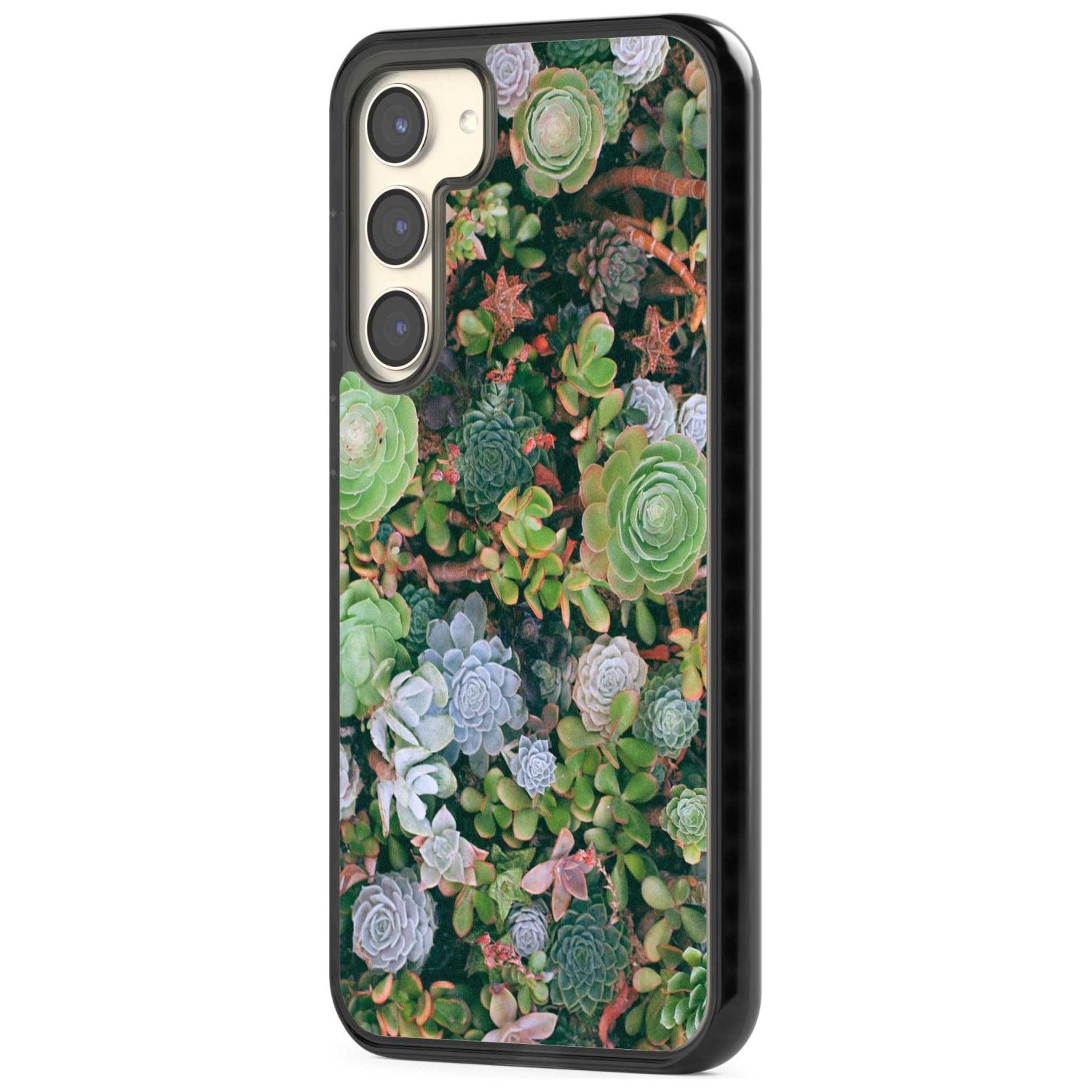 Colourful Succulents Phone Case iPhone 15 Pro Max / Black Impact Case,iPhone 15 Plus / Black Impact Case,iPhone 15 Pro / Black Impact Case,iPhone 15 / Black Impact Case,iPhone 15 Pro Max / Impact Case,iPhone 15 Plus / Impact Case,iPhone 15 Pro / Impact Case,iPhone 15 / Impact Case,iPhone 15 Pro Max / Magsafe Black Impact Case,iPhone 15 Plus / Magsafe Black Impact Case,iPhone 15 Pro / Magsafe Black Impact Case,iPhone 15 / Magsafe Black Impact Case,iPhone 14 Pro Max / Black Impact Case,iPhone 14 Plus / Black