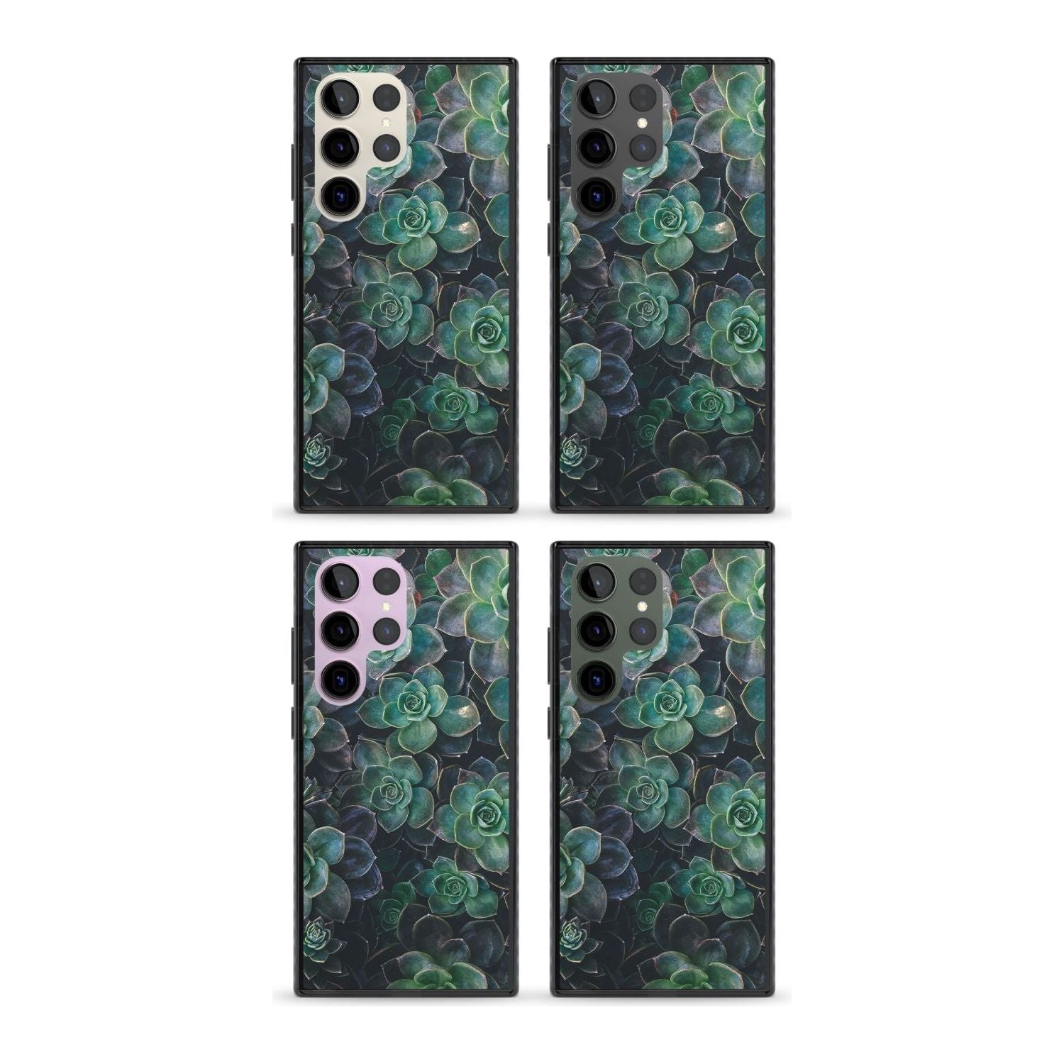 Succulent Bloom Botanical