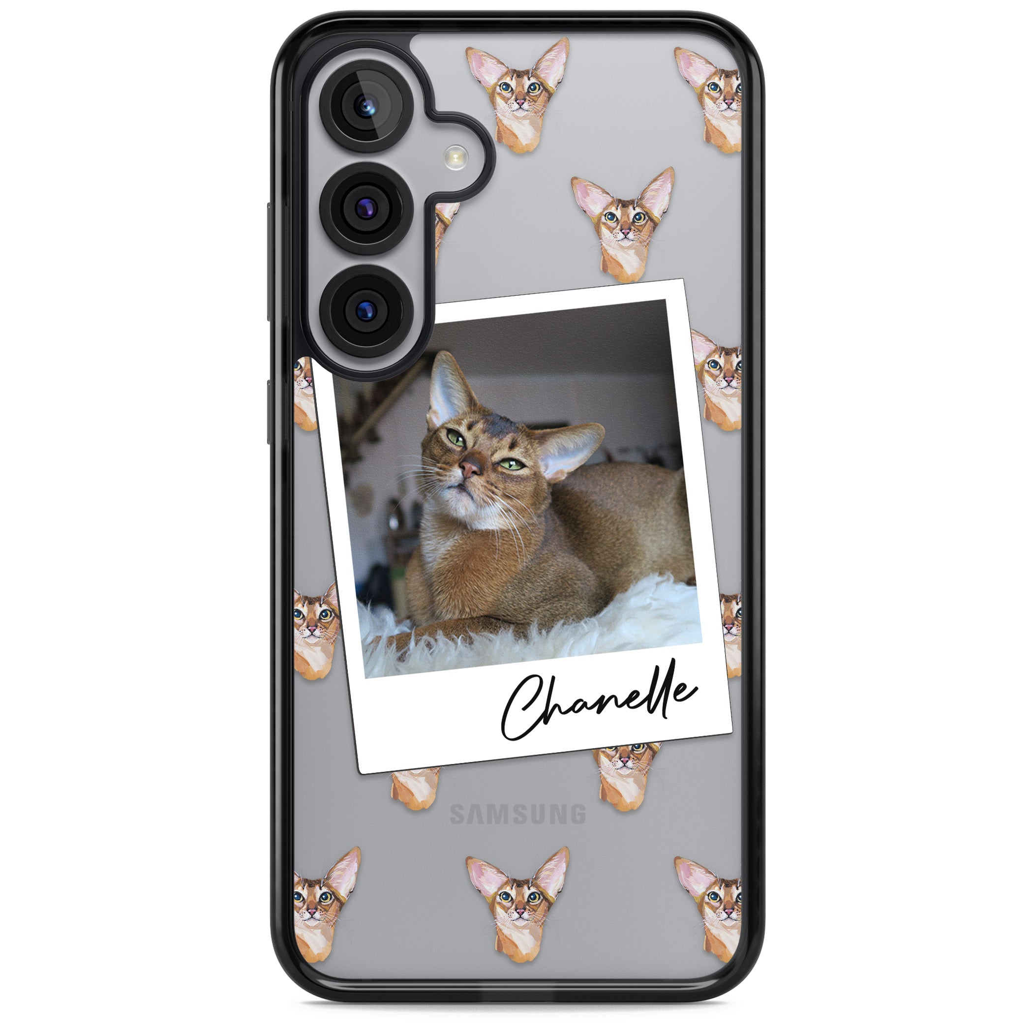 Personalised Abyssinian Cat Photo
