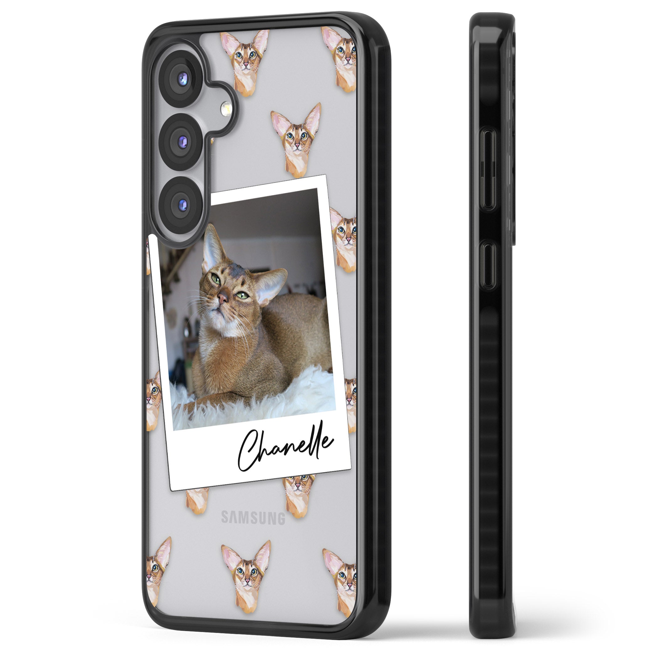 Personalised Abyssinian Cat Photo