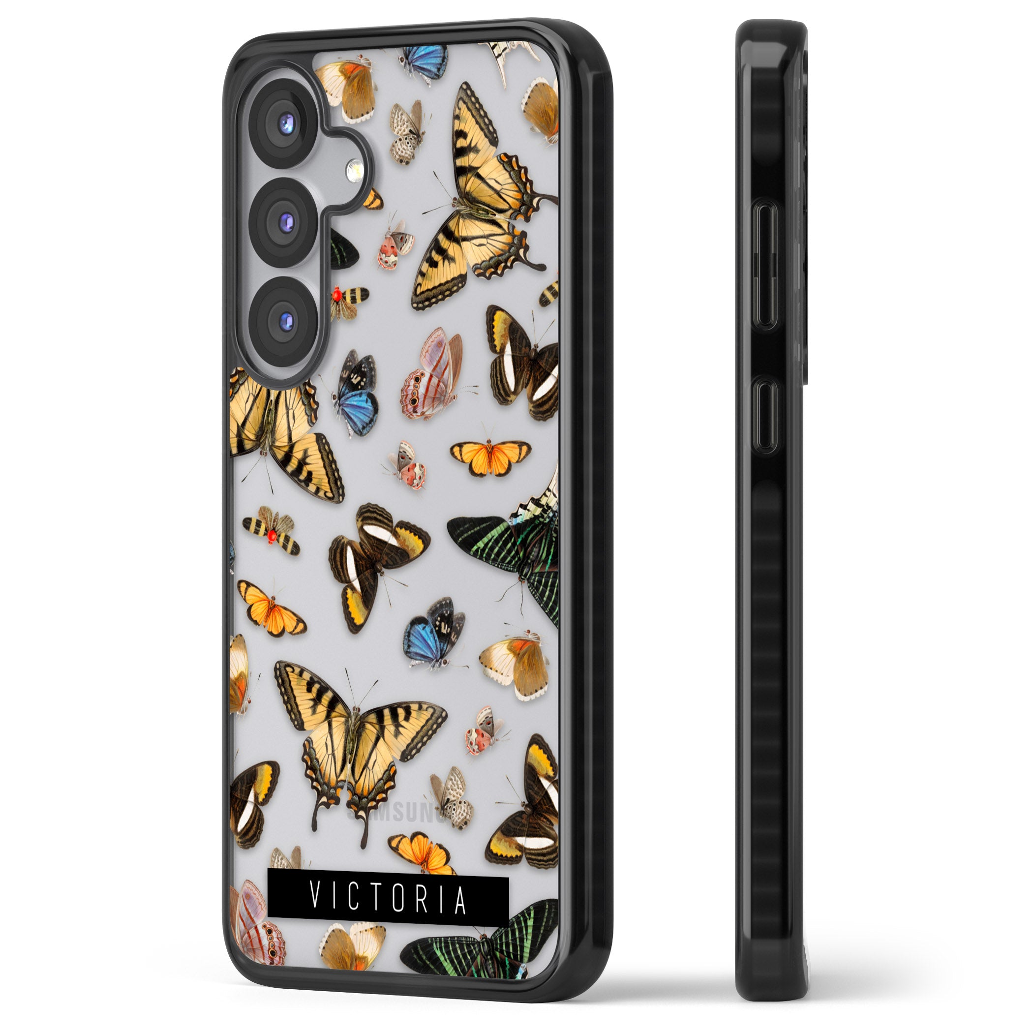 Personalised Butterfly Archive