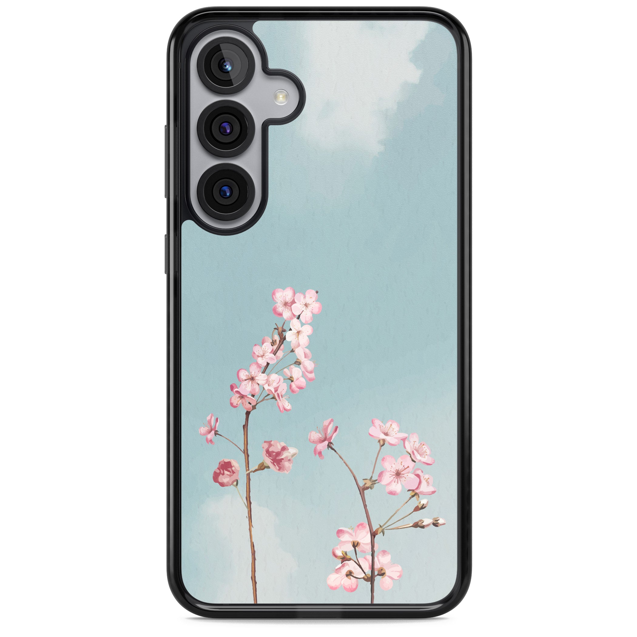 Blossom Flower Sky