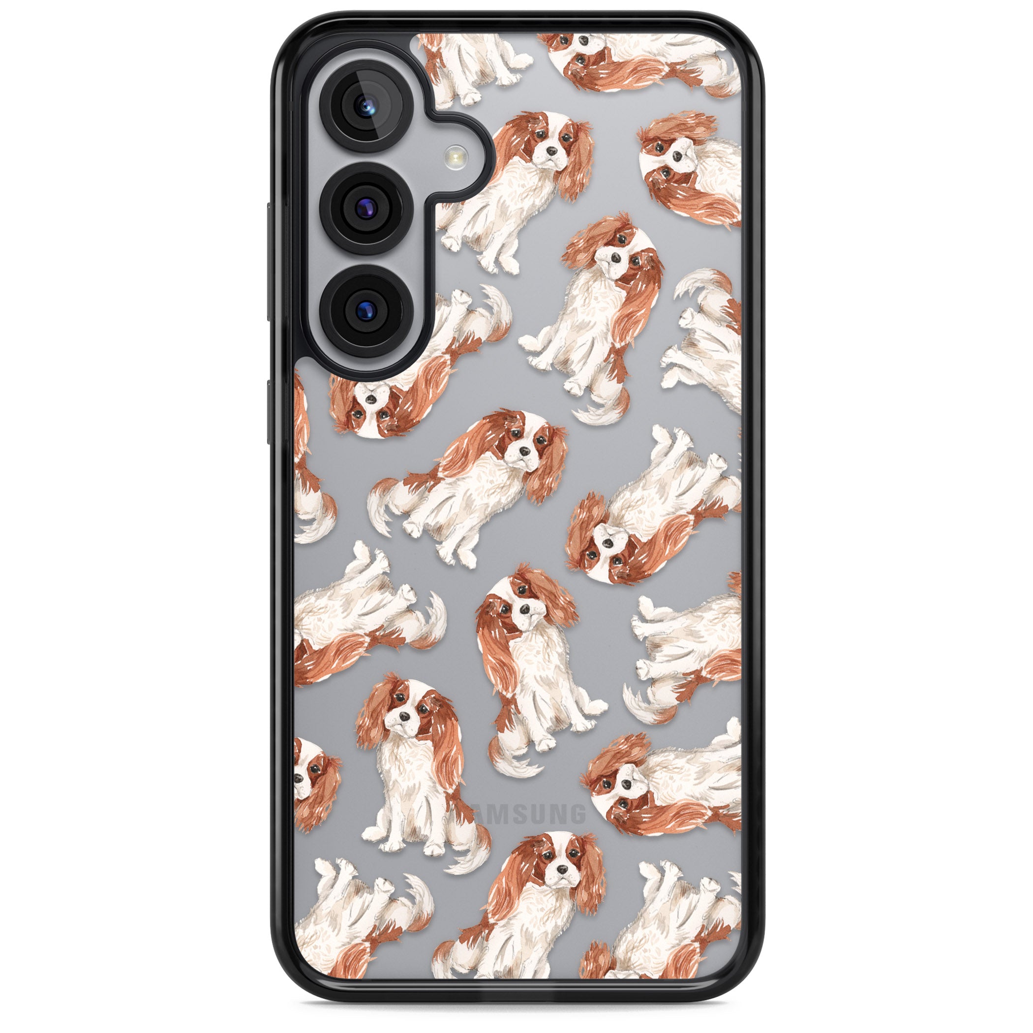 Cavalier King Charles Spaniel