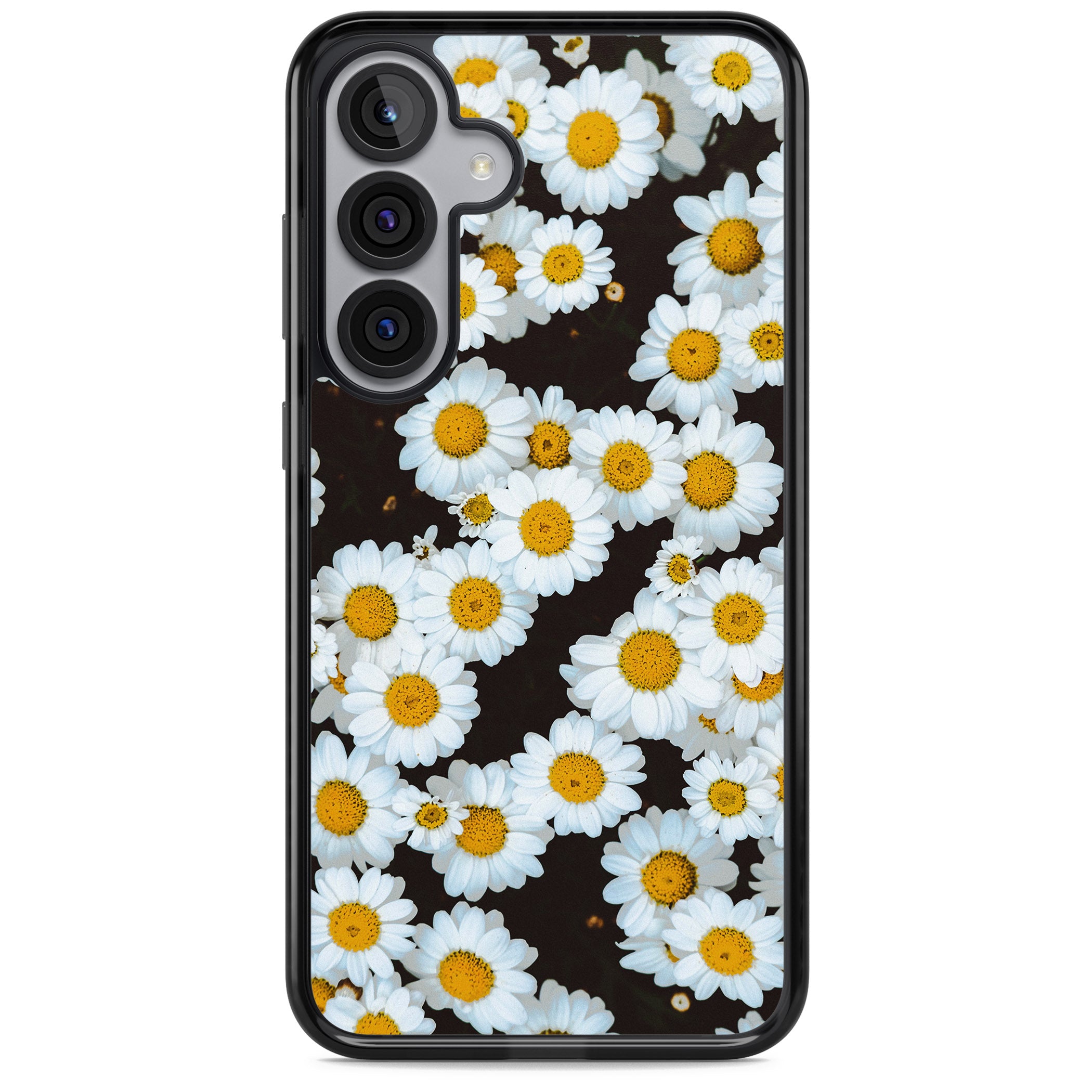 Daisy Dream