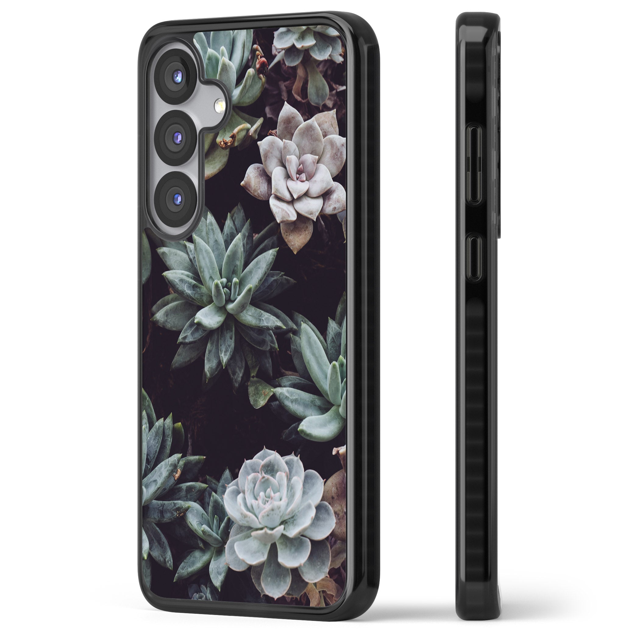 Succulent Bloom Mixed