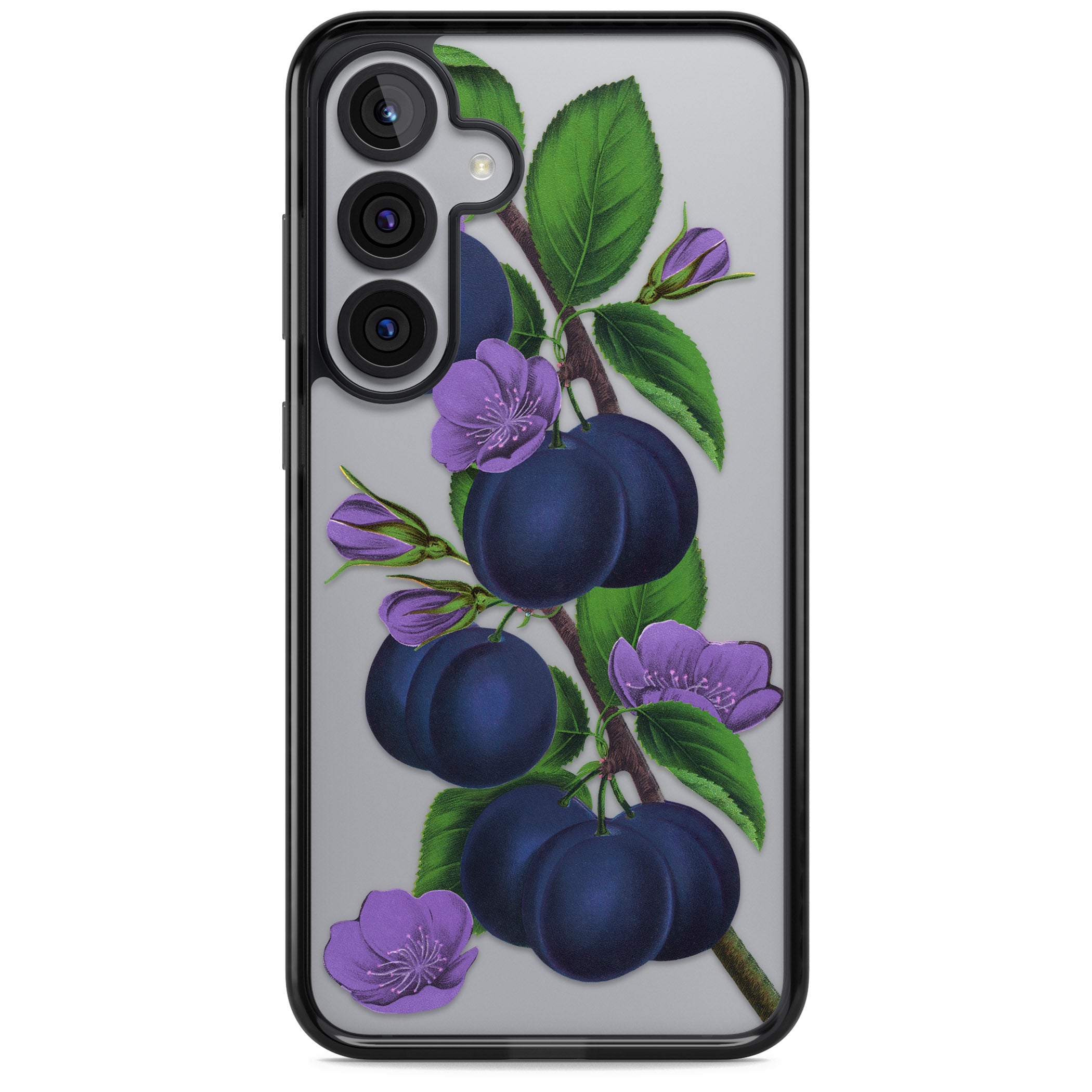 Vintage Painted Plums