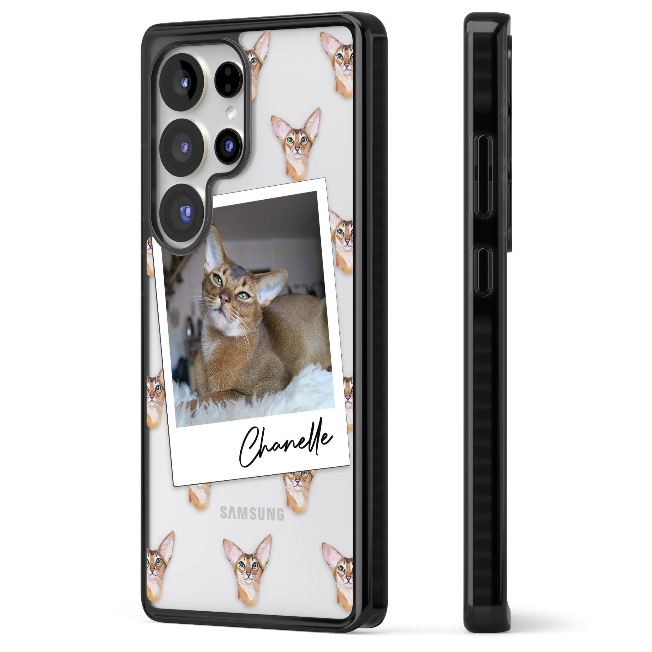 Personalised Abyssinian Cat Photo