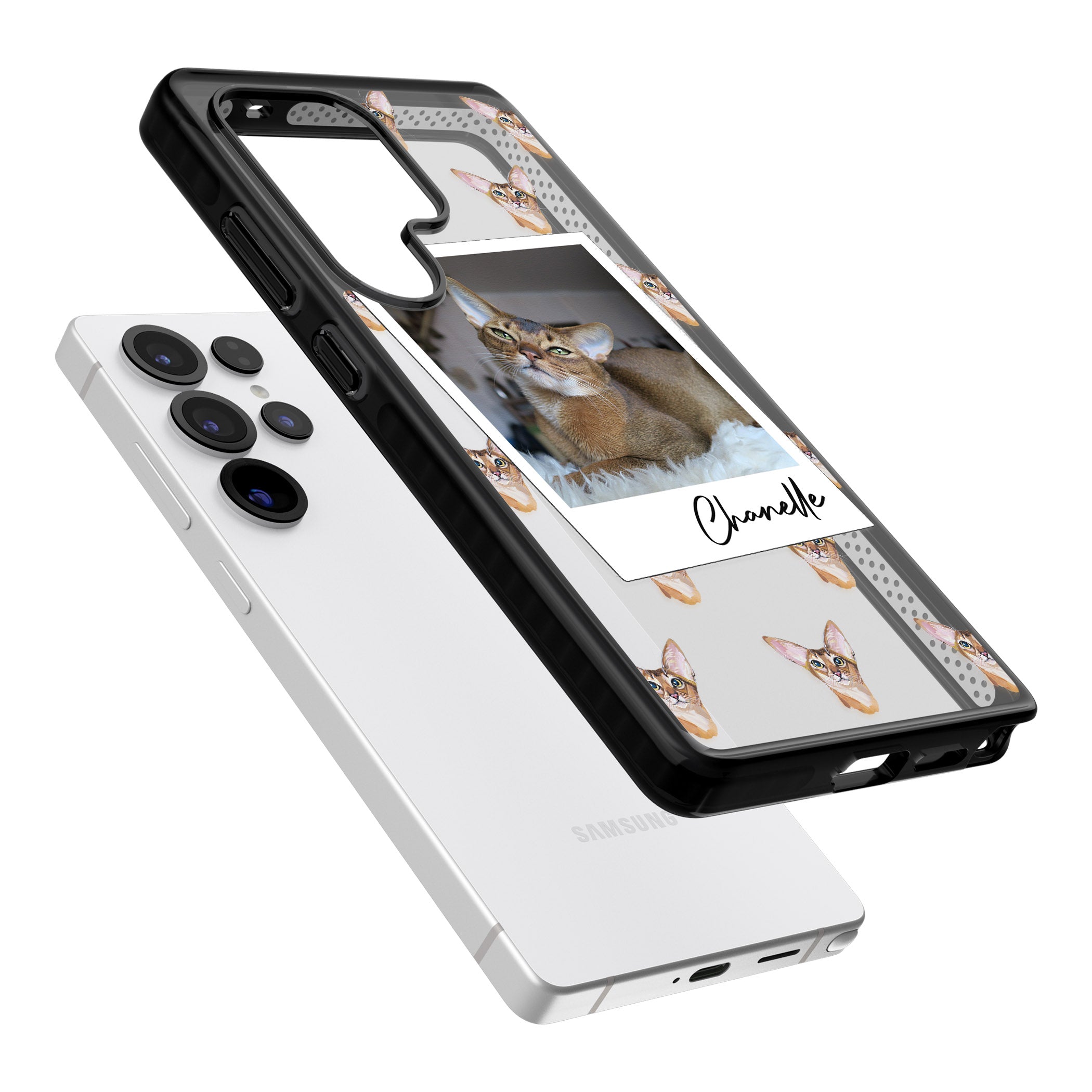 Personalised Abyssinian Cat Photo