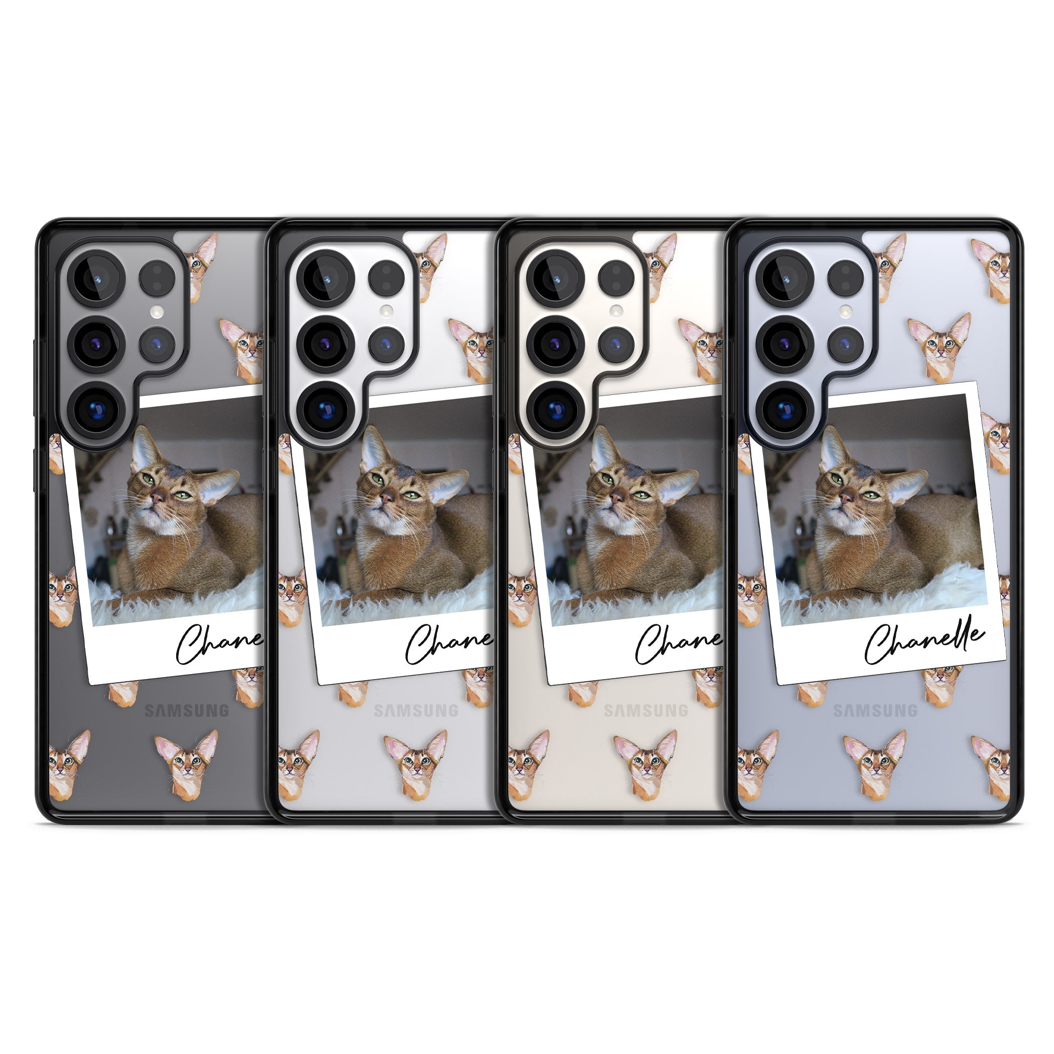 Personalised Abyssinian Cat Photo