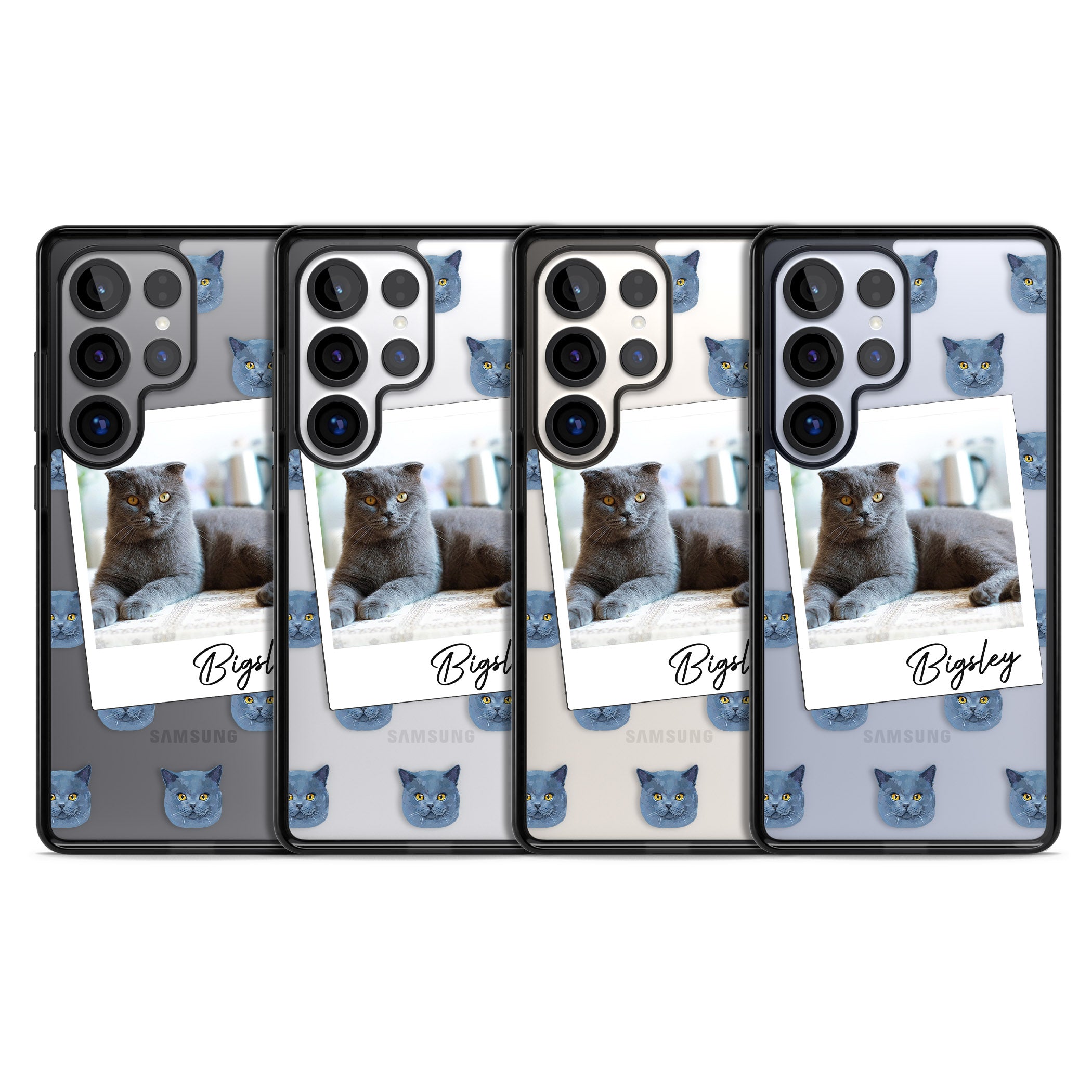 Personalised English Blue Cat Photo