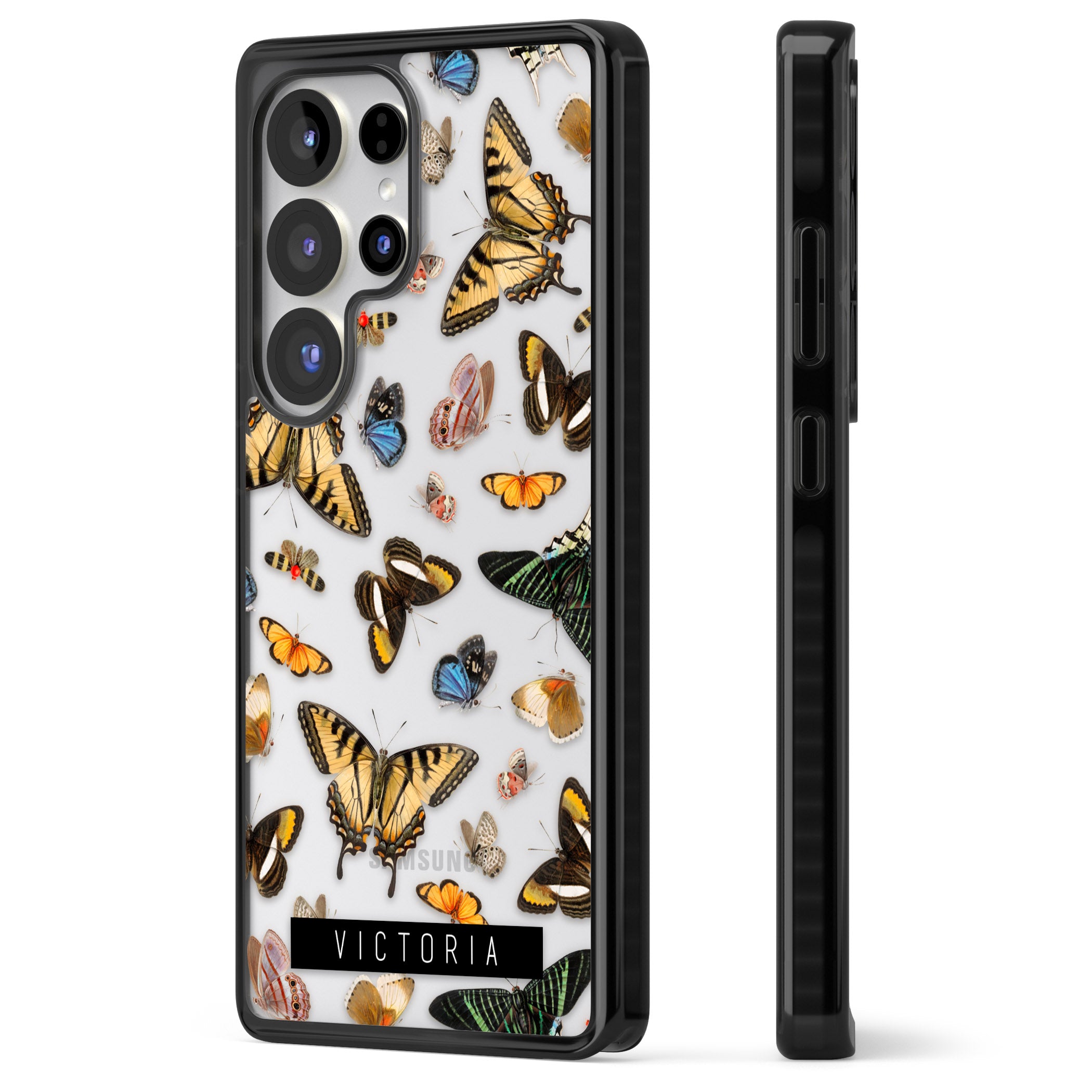 Personalised Butterfly Archive