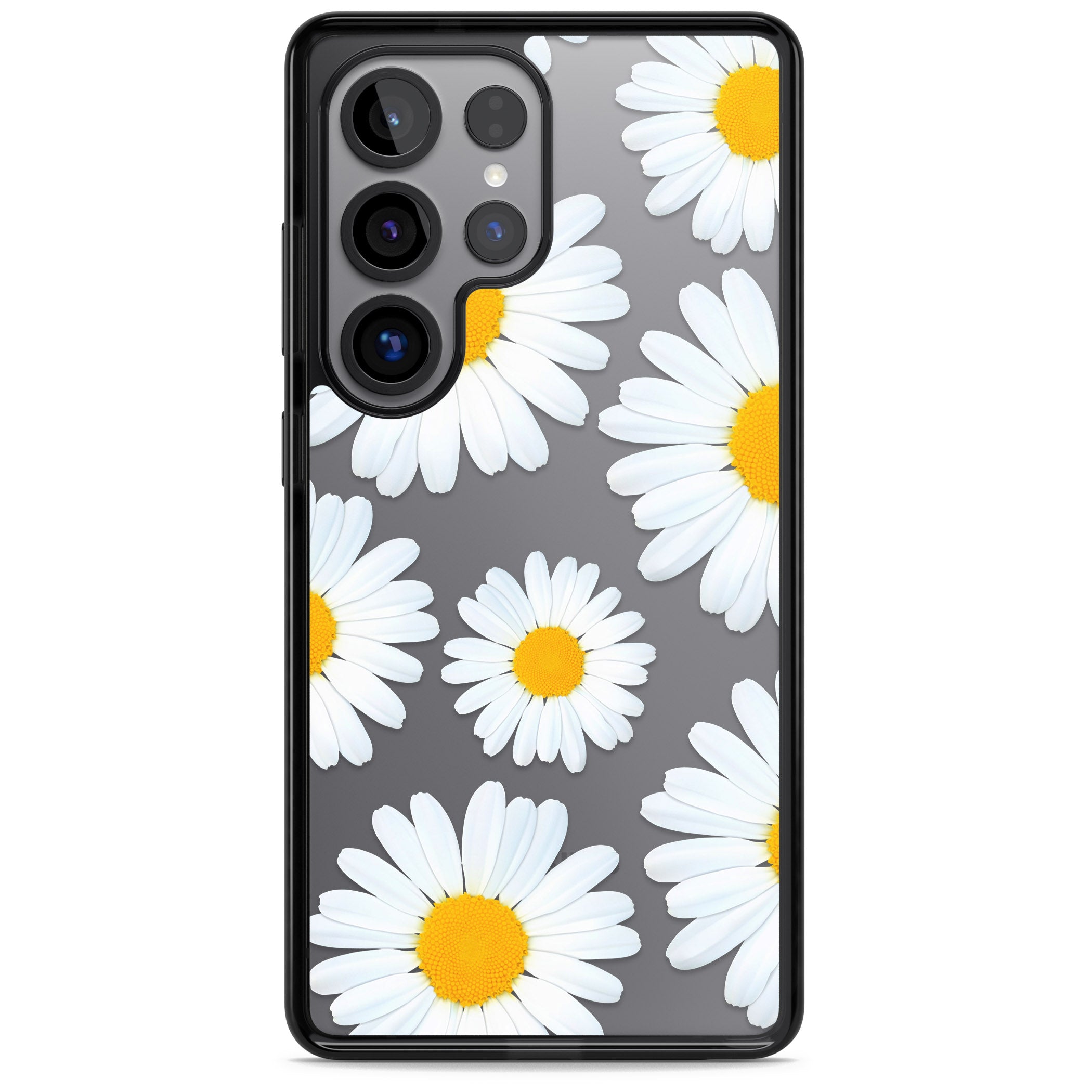 Summer Daisy