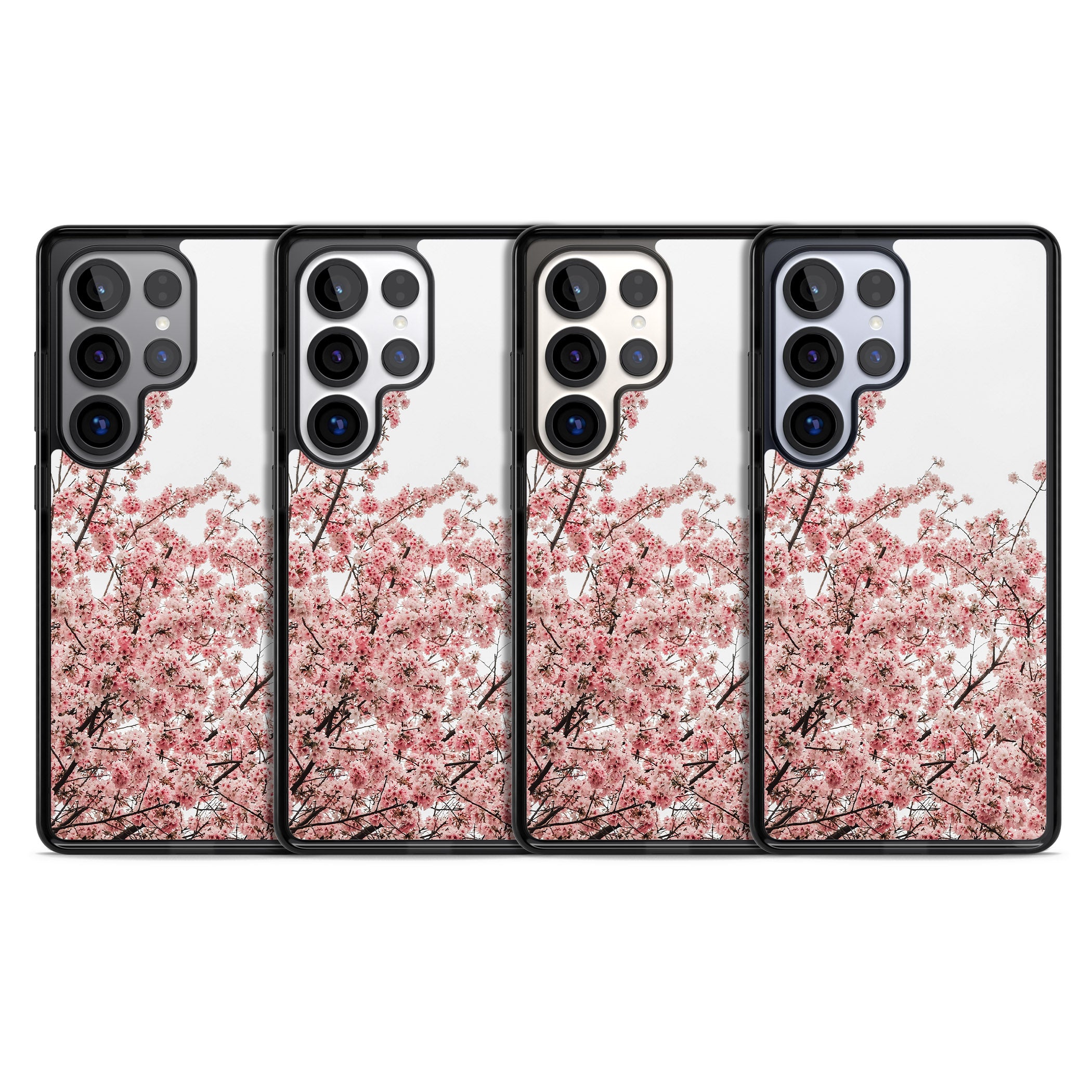 Cherry Blossom Bloom