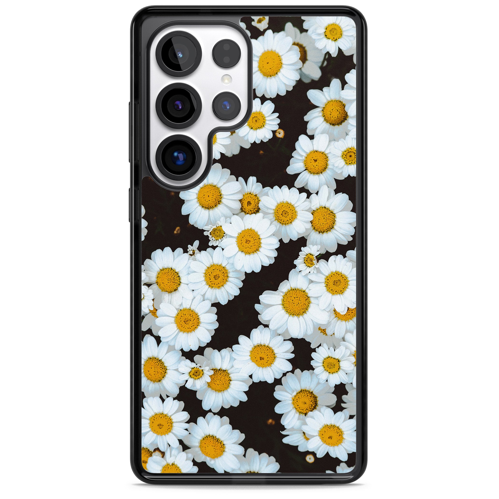 Daisy Dream
