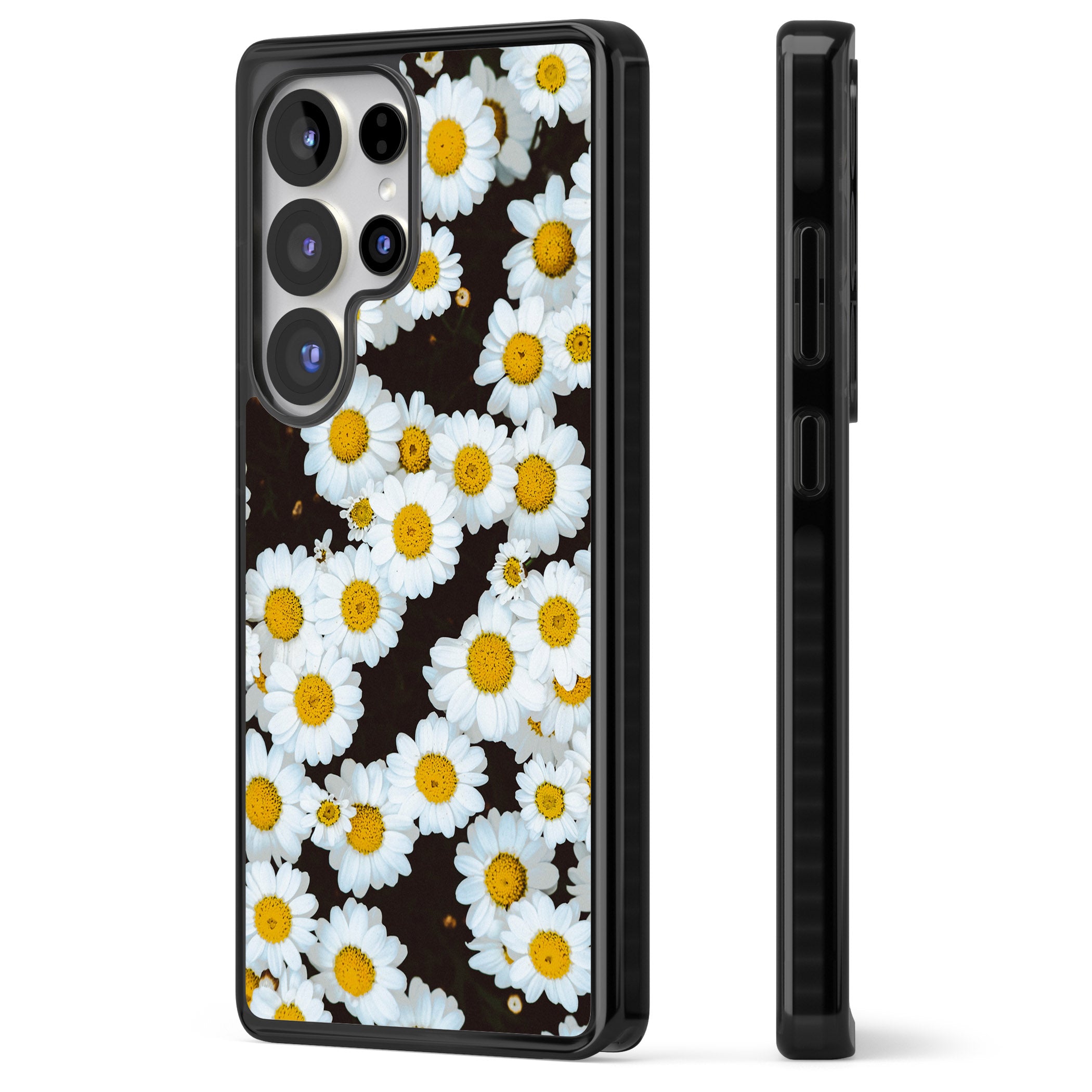 Daisy Dream
