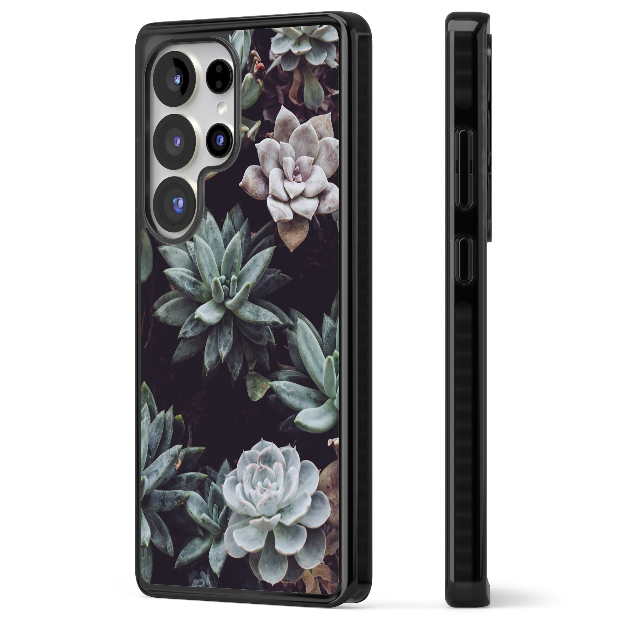 Succulent Bloom Mixed