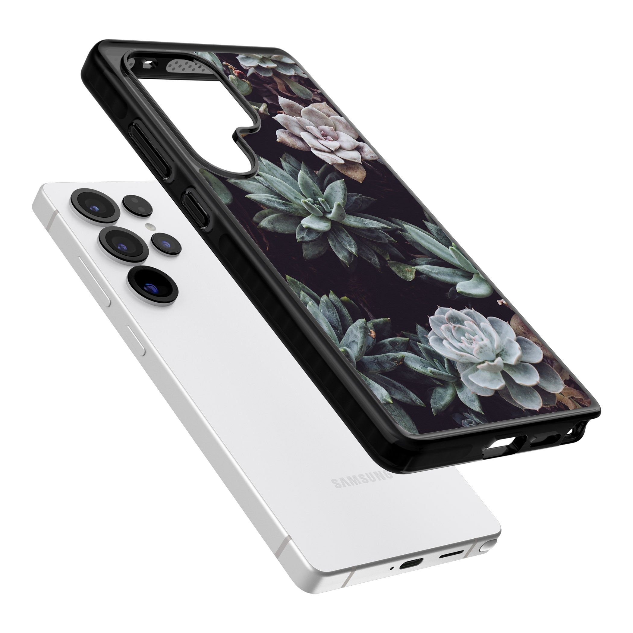 Succulent Bloom Mixed