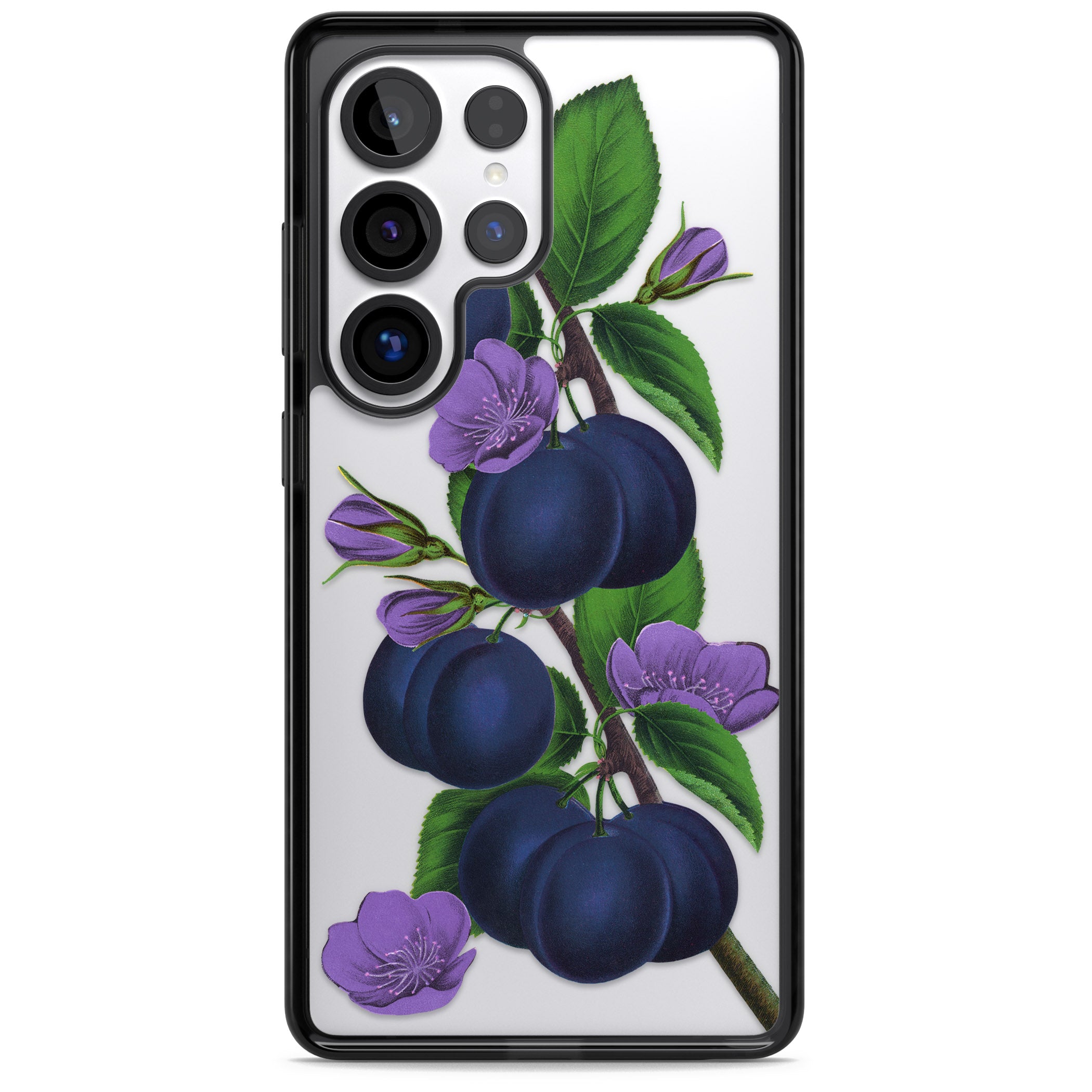 Vintage Painted Plums