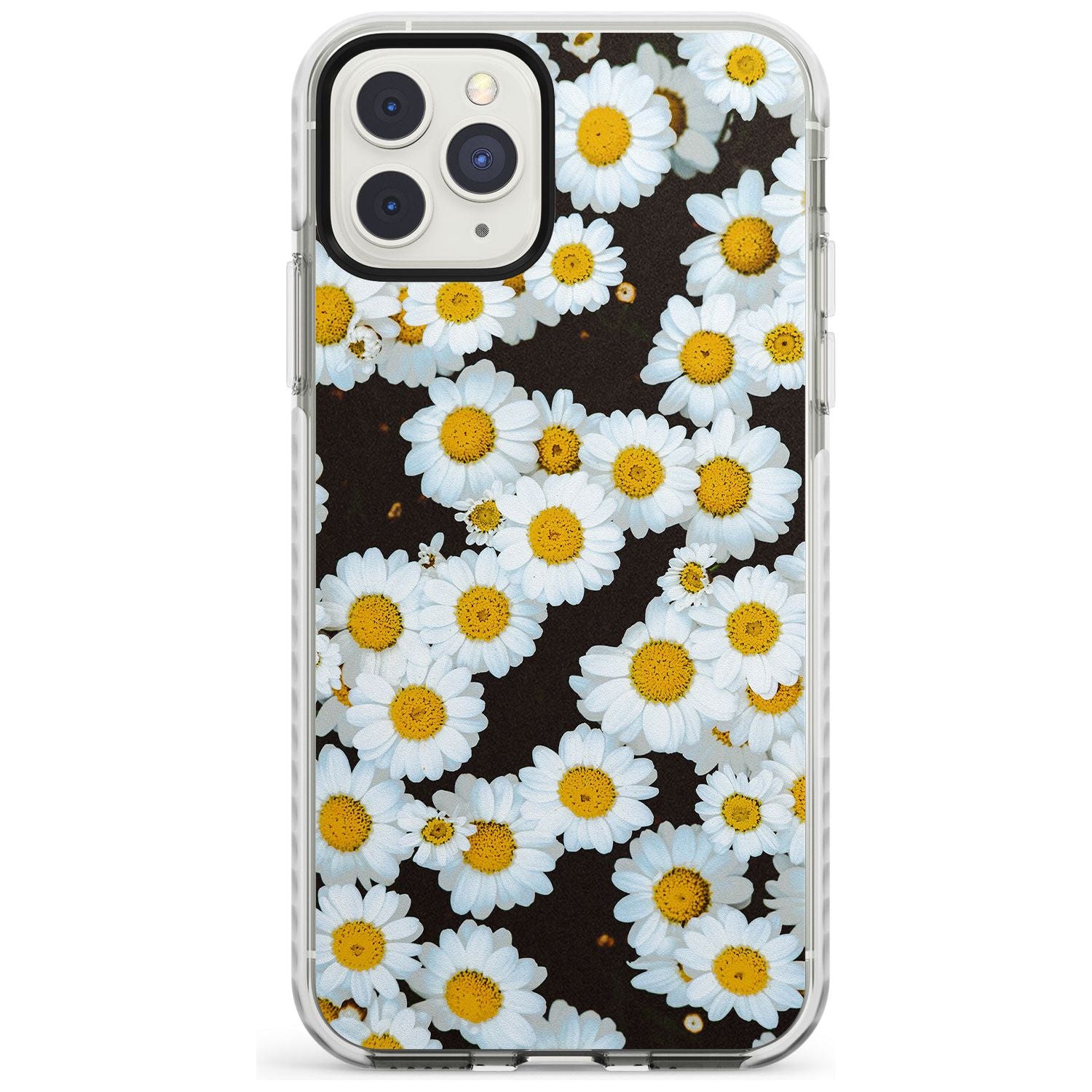Daisies - Real Floral Photographs iPhone Case Impact Case Phone Case - Case Warehouse