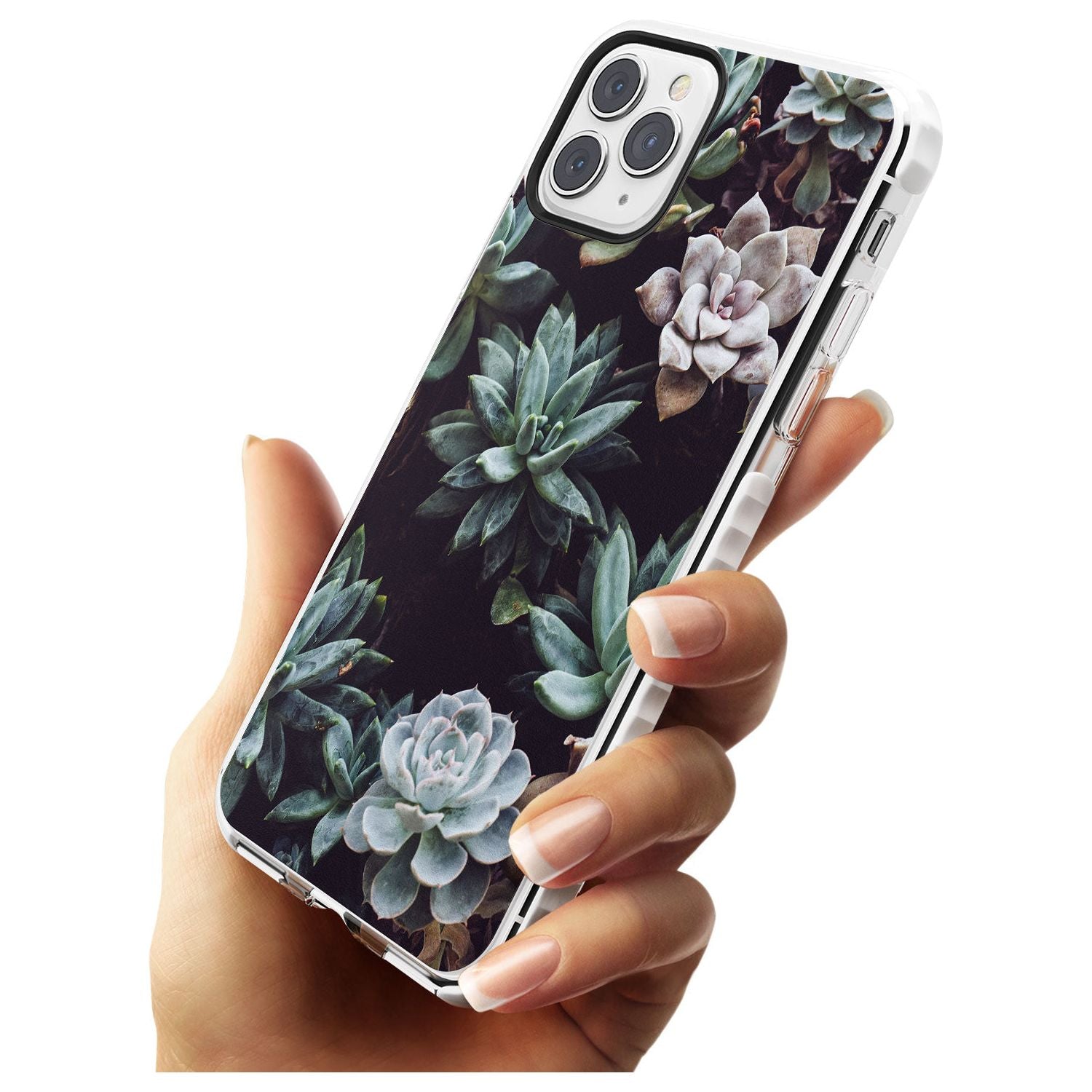 Mixed Succulents - Real Botanical Photographs Impact Phone Case for iPhone 11 Pro Max