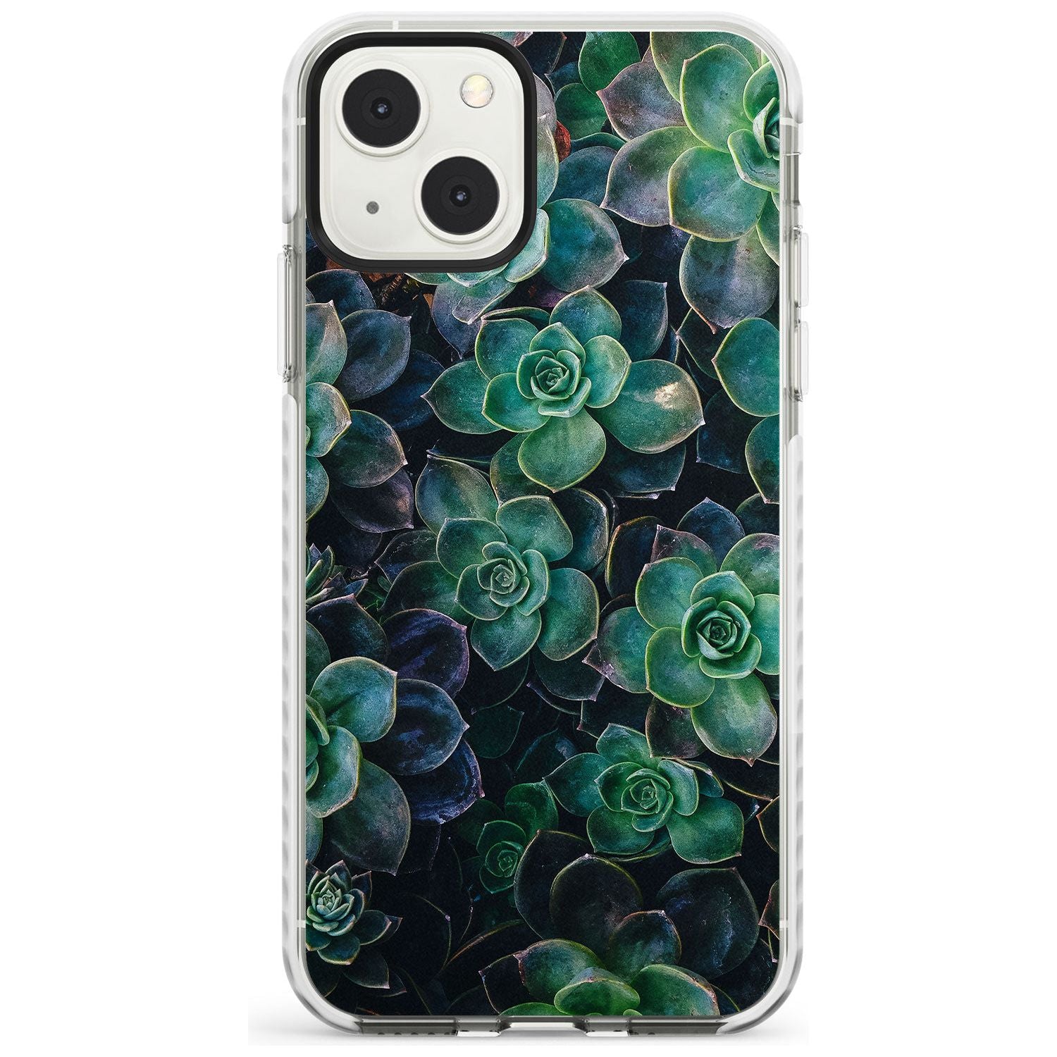 Succulent Bloom Botanical